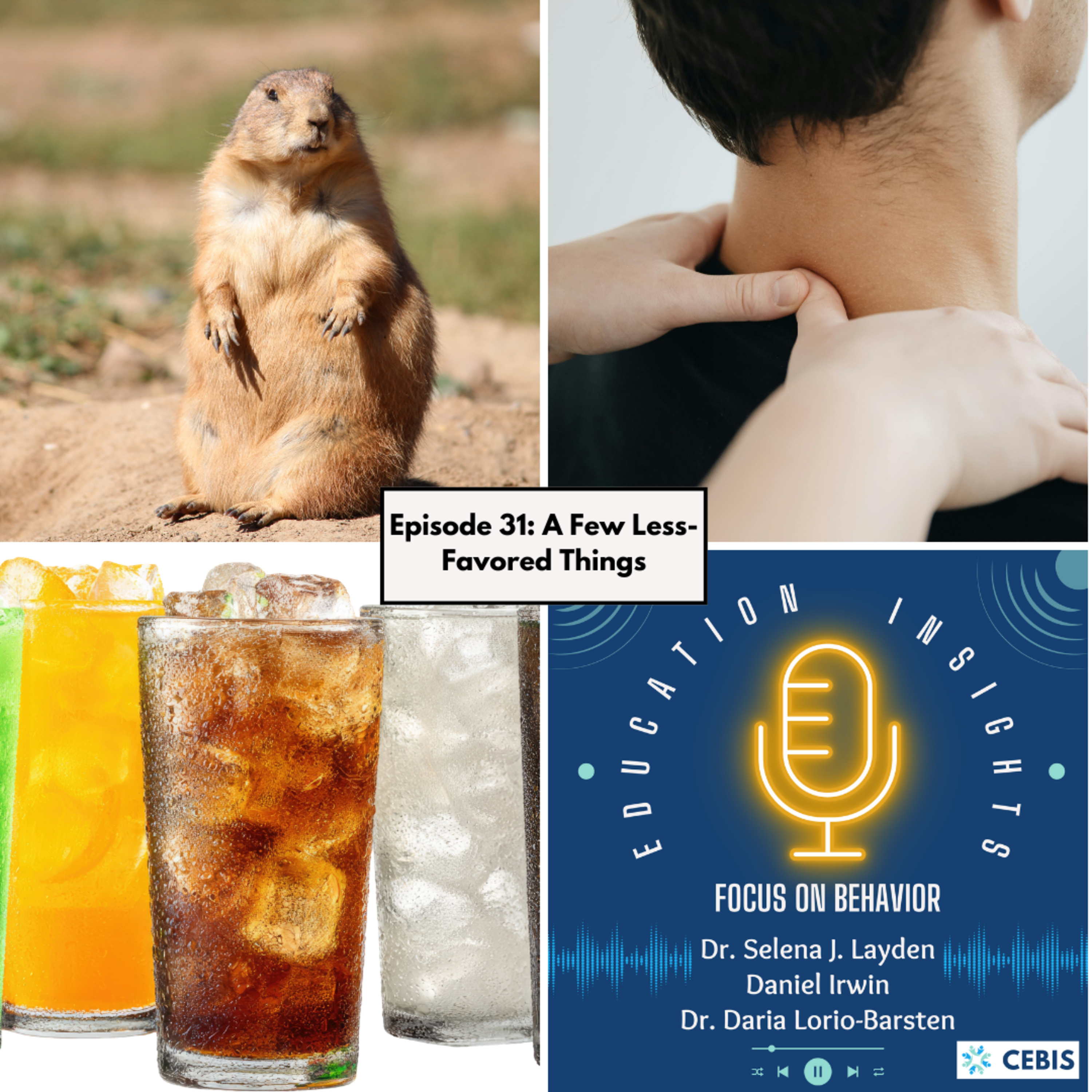 Episode 31- A Few Less-Favored Things