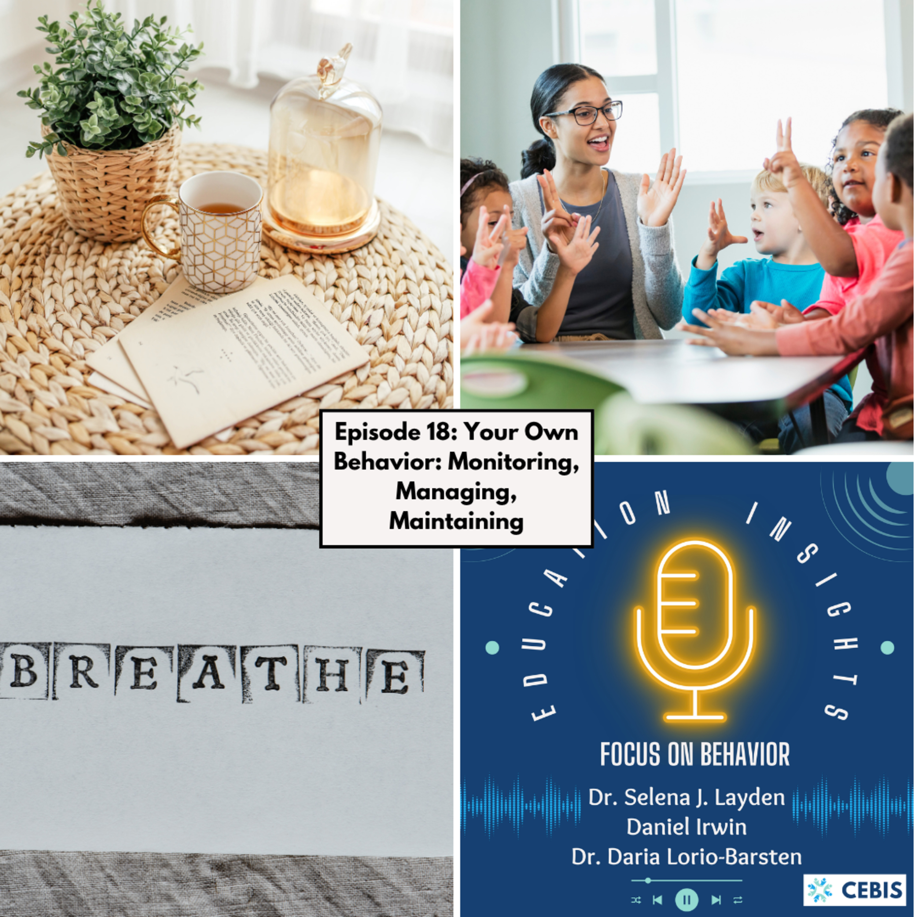 BEST OF Education Insights: Episode 18: Your Own Behavior