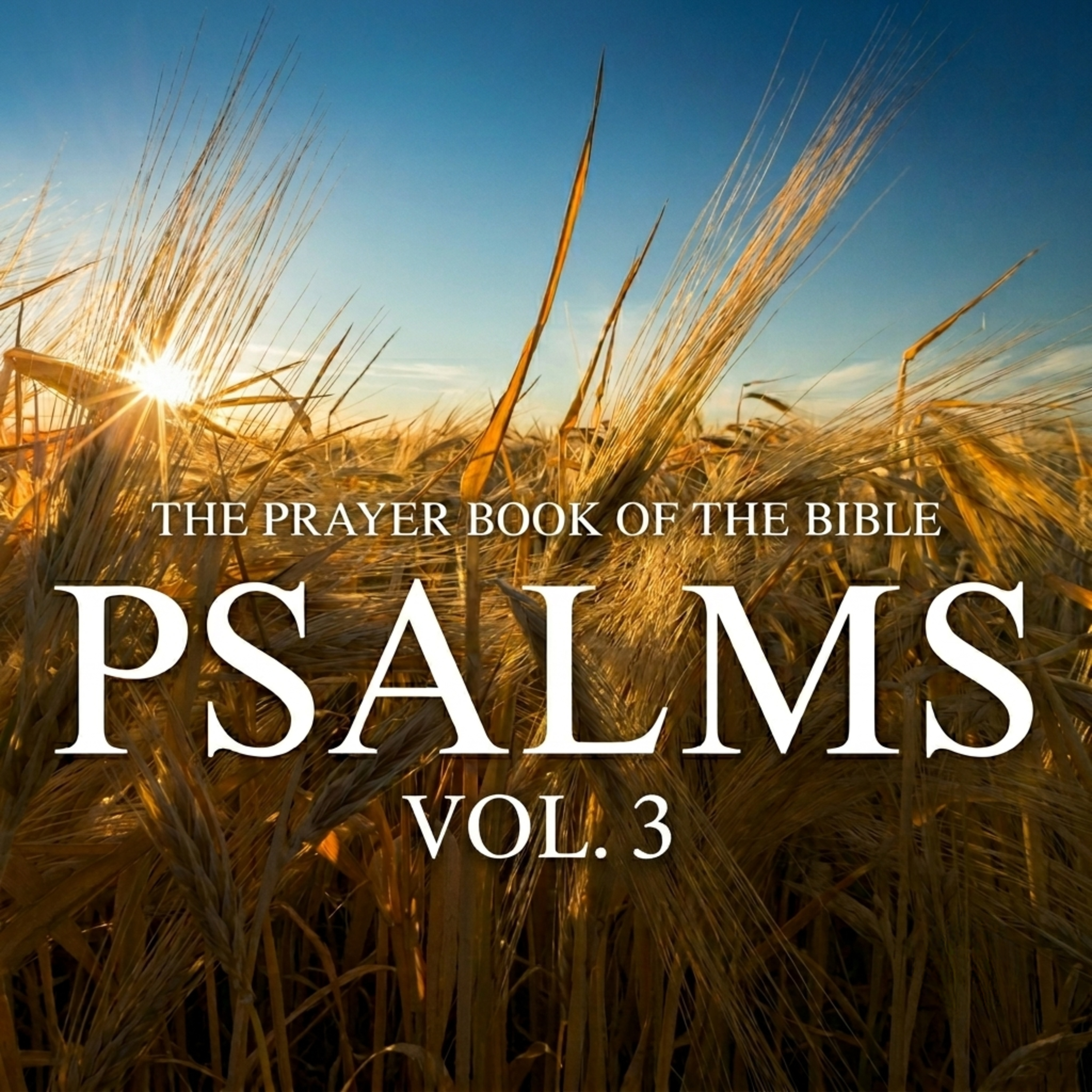 Psalms 80 | The God of Restoration | Pastor Aaron Garza episode artwork