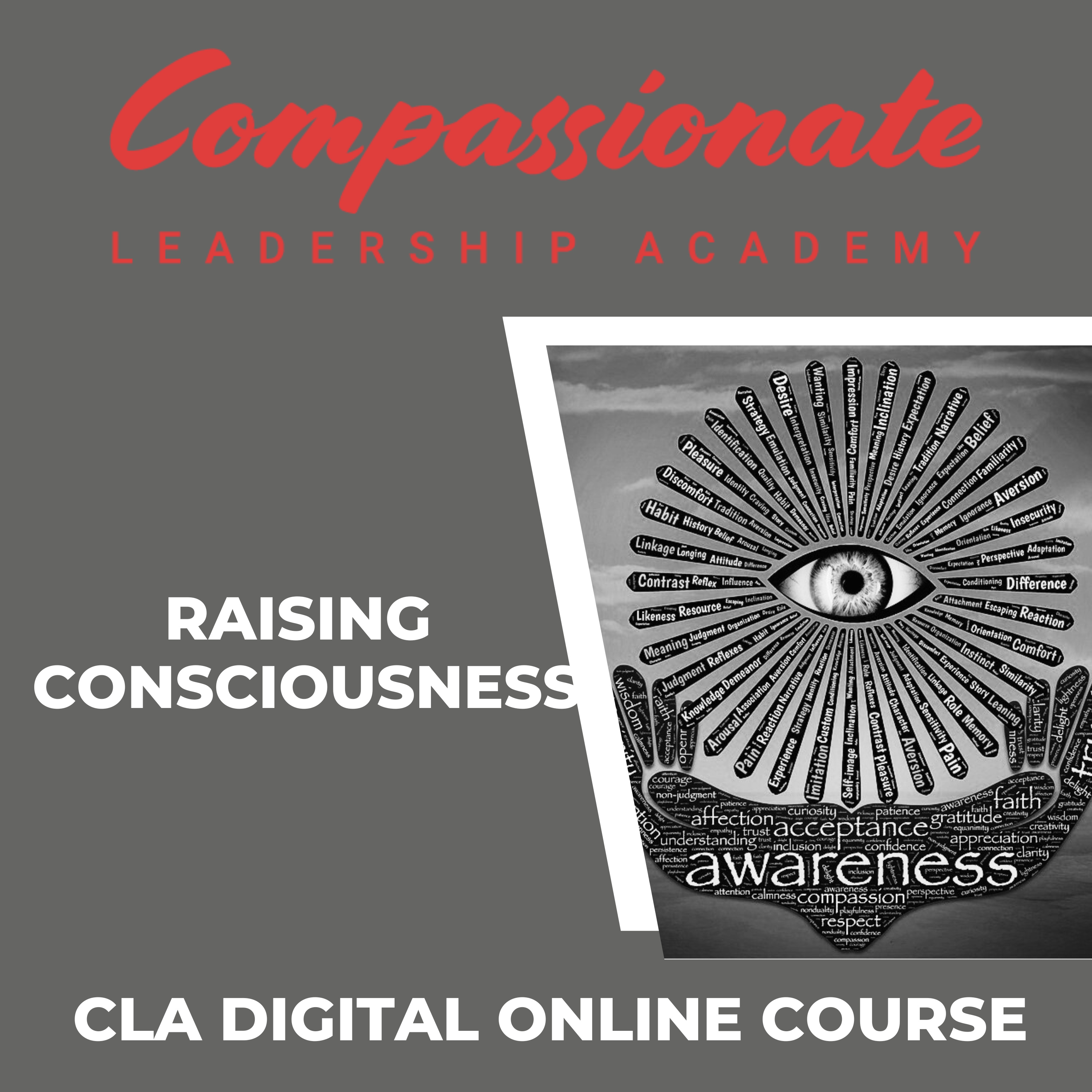 Raising Consciousness episode artwork
