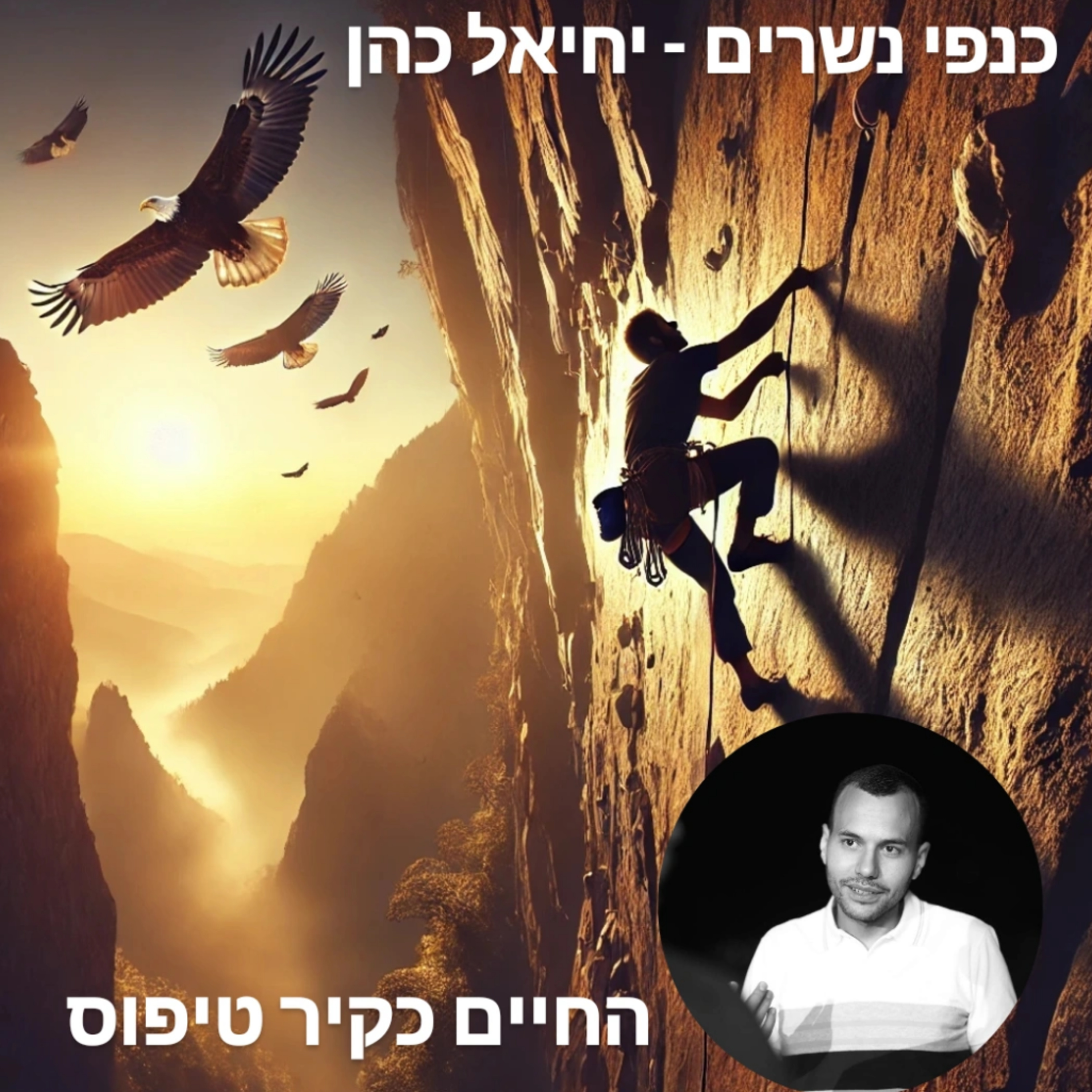 טריילר: החיים כקיר טיפוס episode artwork
