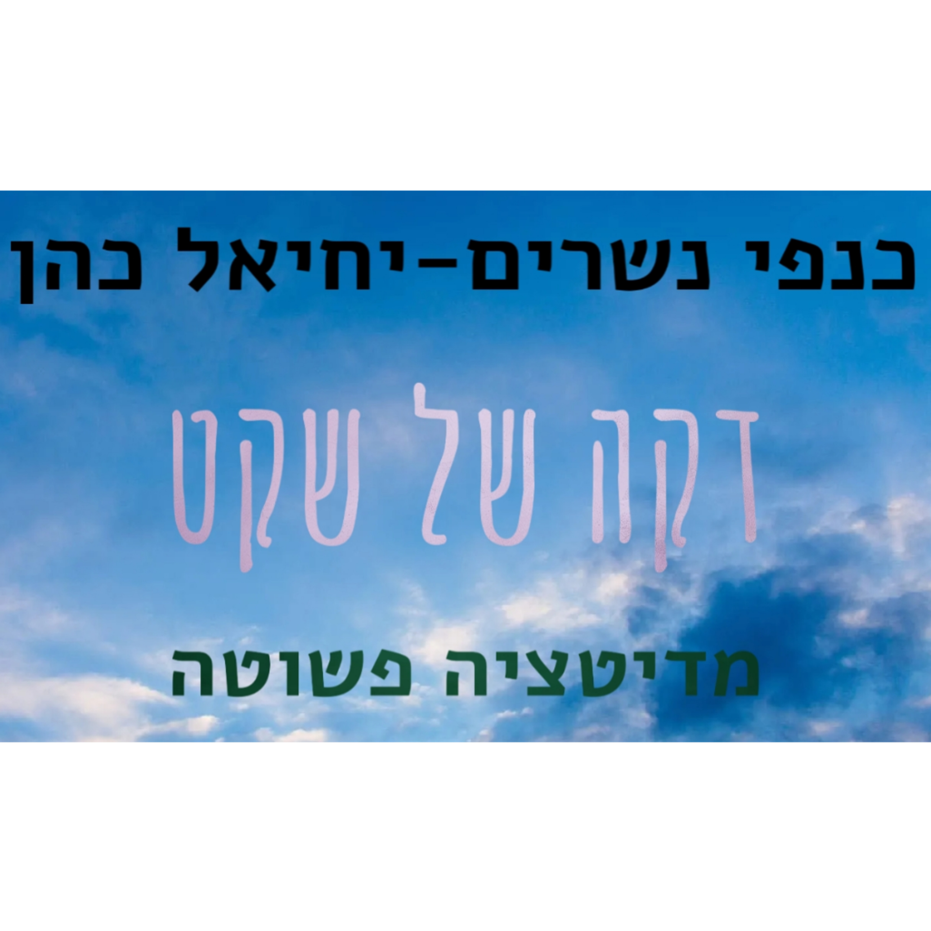 דקה של שקט - מדיטציה פשוטה  episode artwork
