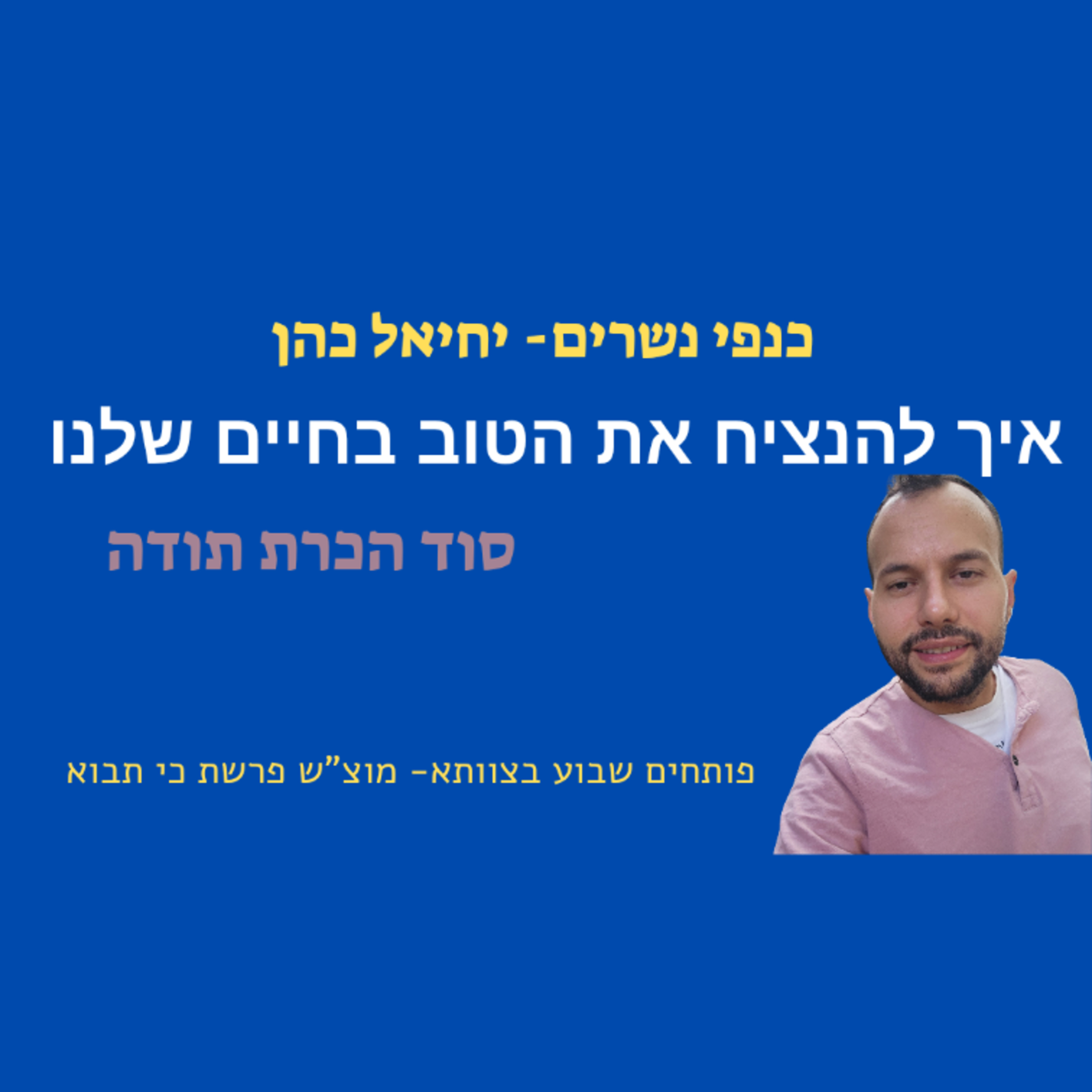 איך להבטיח לעצמנו חיים טובים - סוד הכרת תודה  episode artwork