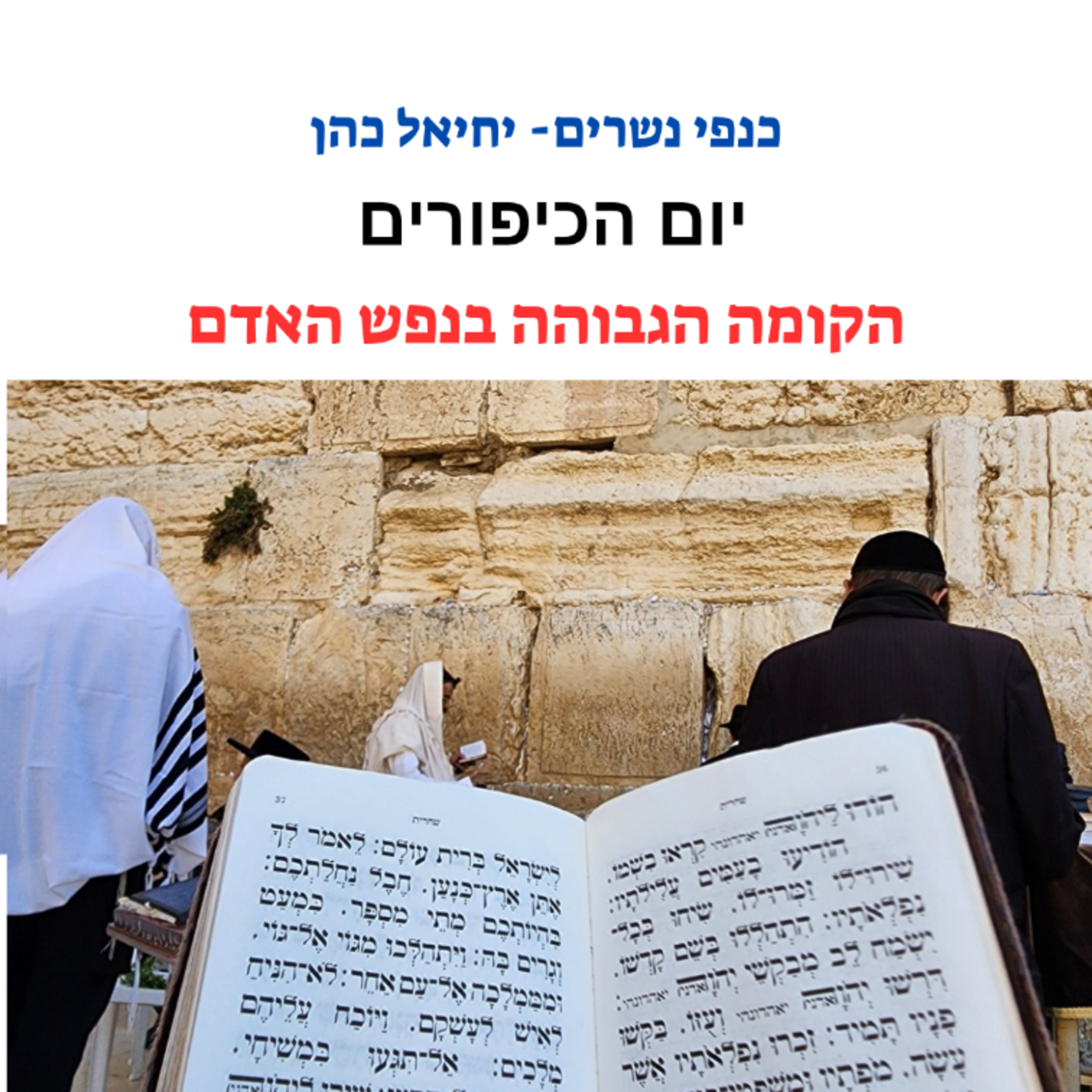 יום כיפור - הקומה הגבוהה בנפש (המימד שלא נפגע) episode artwork
