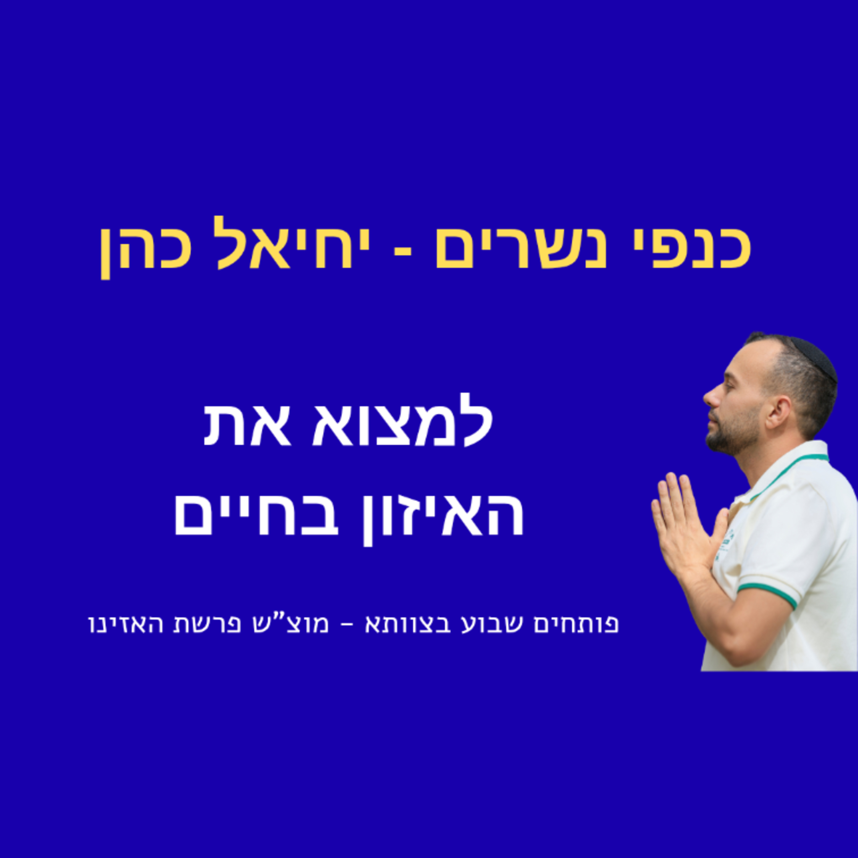 איך למצוא את האיזון בחיים - פרשת האזינו  episode artwork