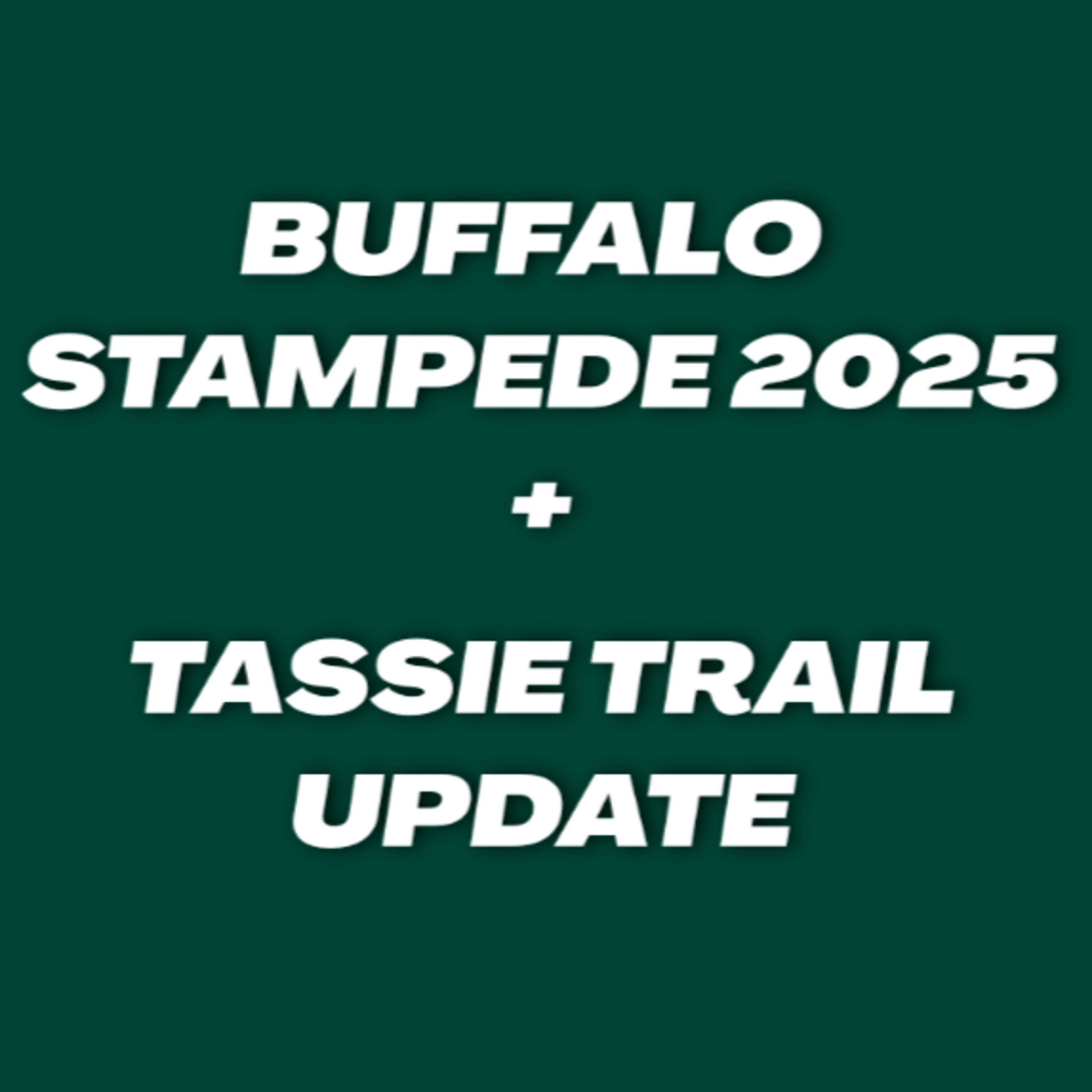 #6 BUFFALO STAMPEDE 2025 + TASSIE TRAIL UPDATE
