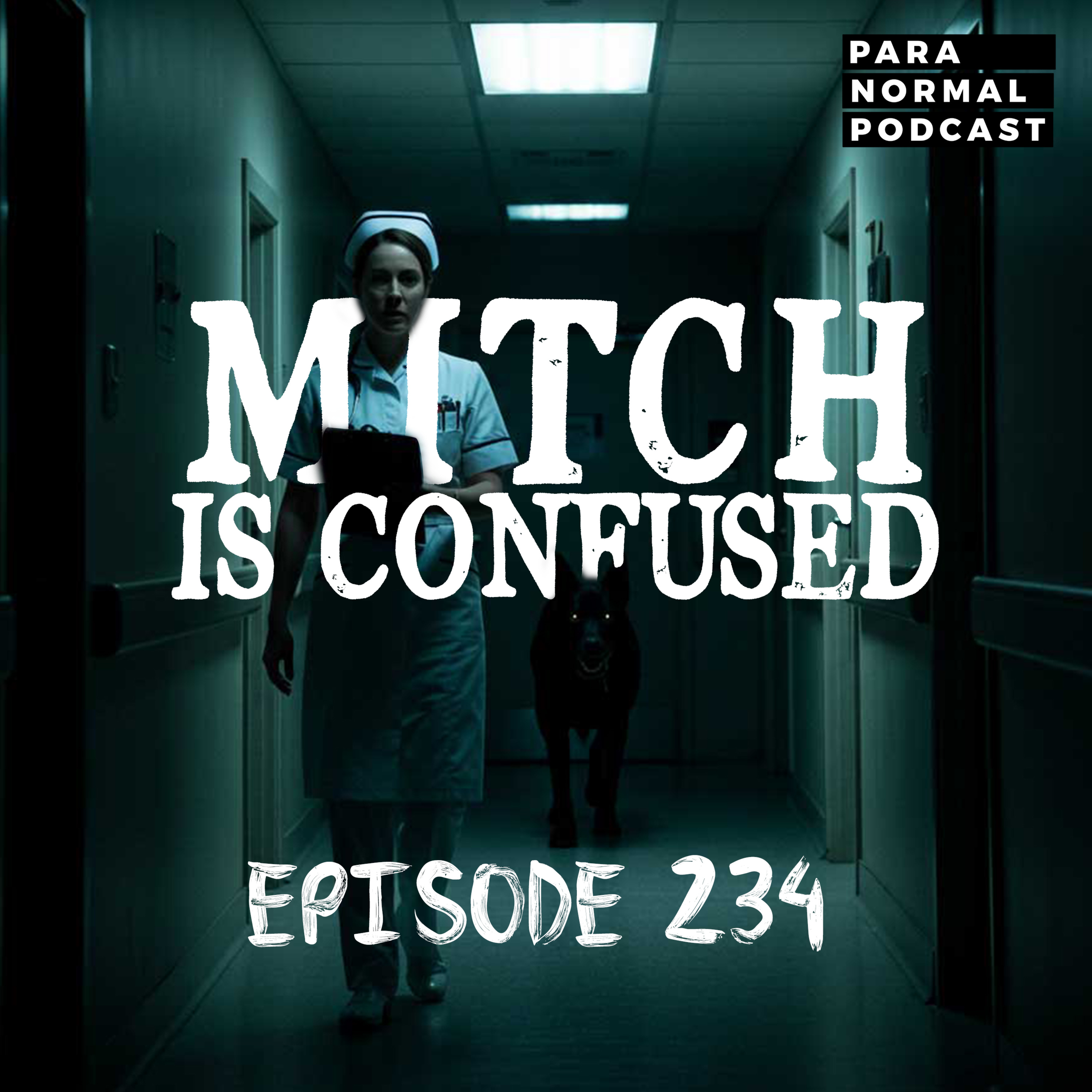 EP 234 - Mitch is Confused