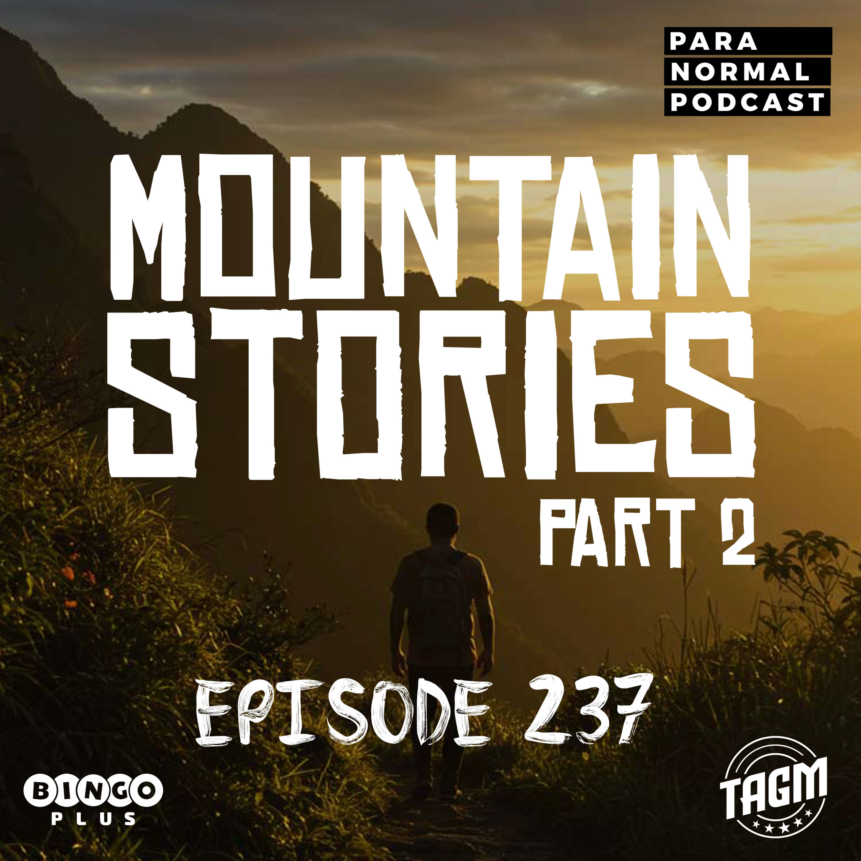 EP 238 - Champ's Mountain Horror Stories