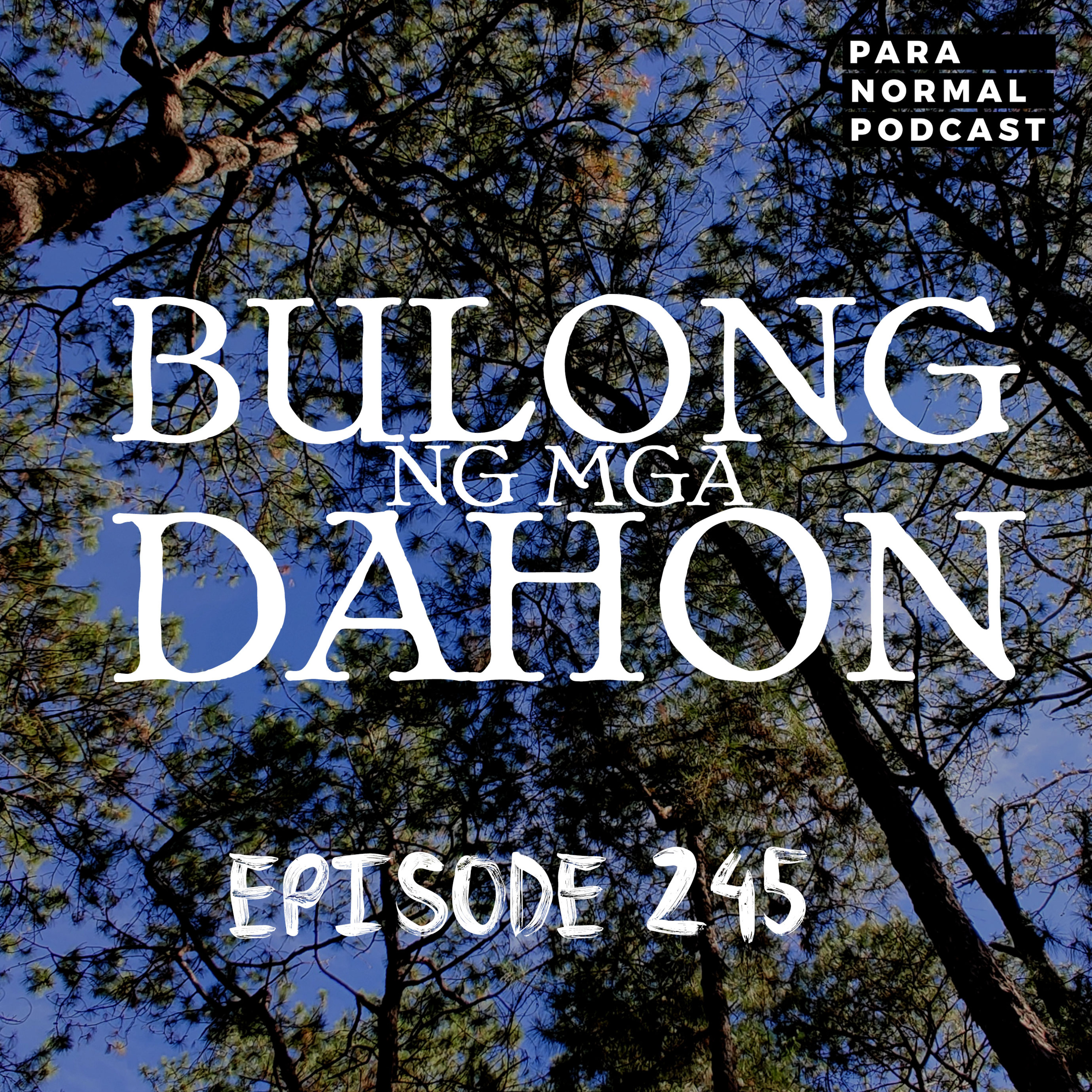 EP 245 - Bulong ng mga Dahon