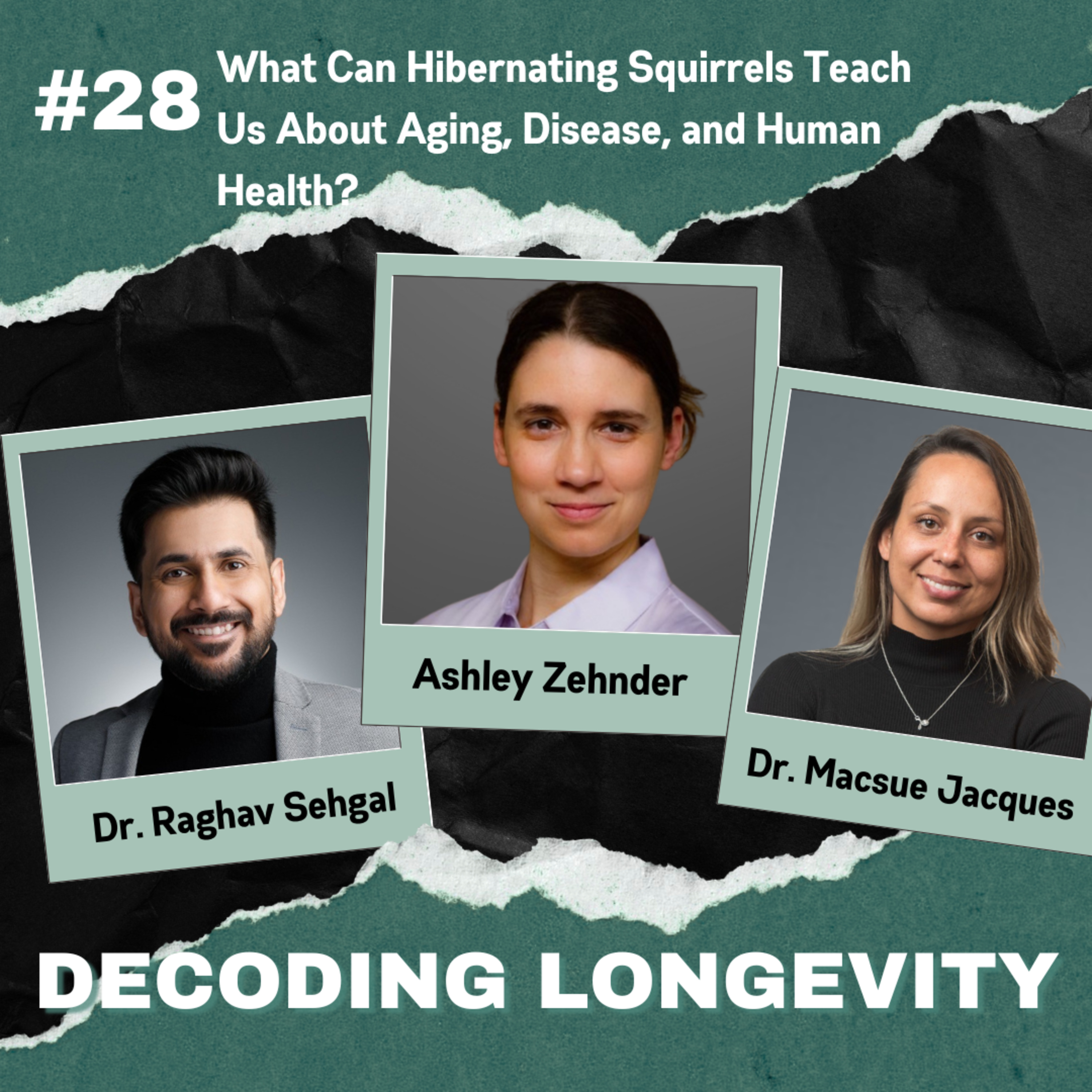 What Can Hibernating Squirrels Teach Us About Aging, Disease, and Human Health?: A Conversation With Dr. Ashley Zehnder episode artwork