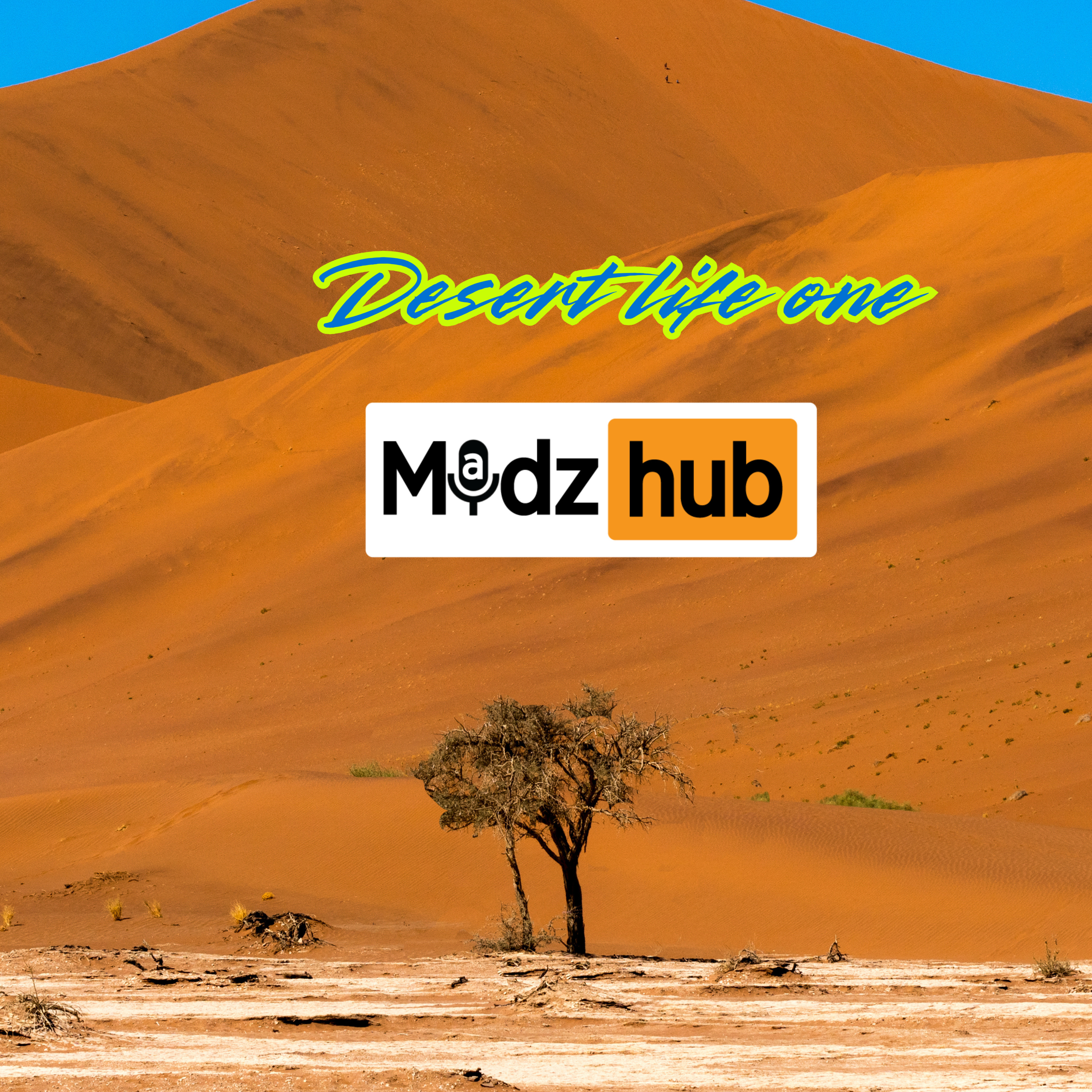 Desert Life One episode artwork
