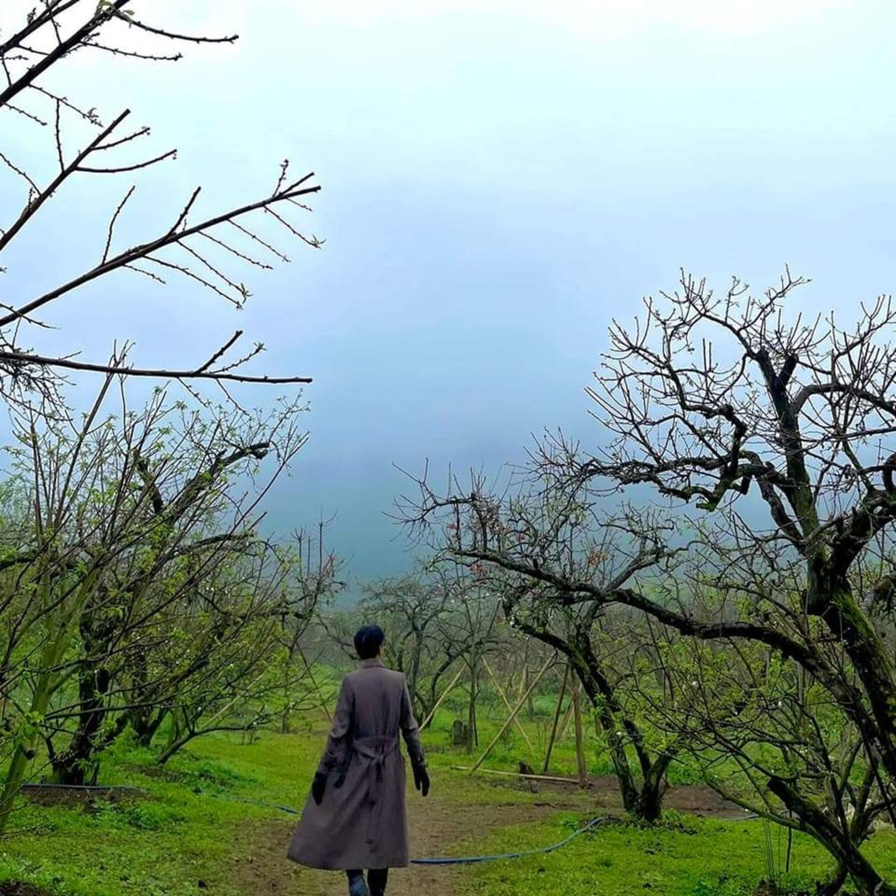 Lời mở đầu episode artwork