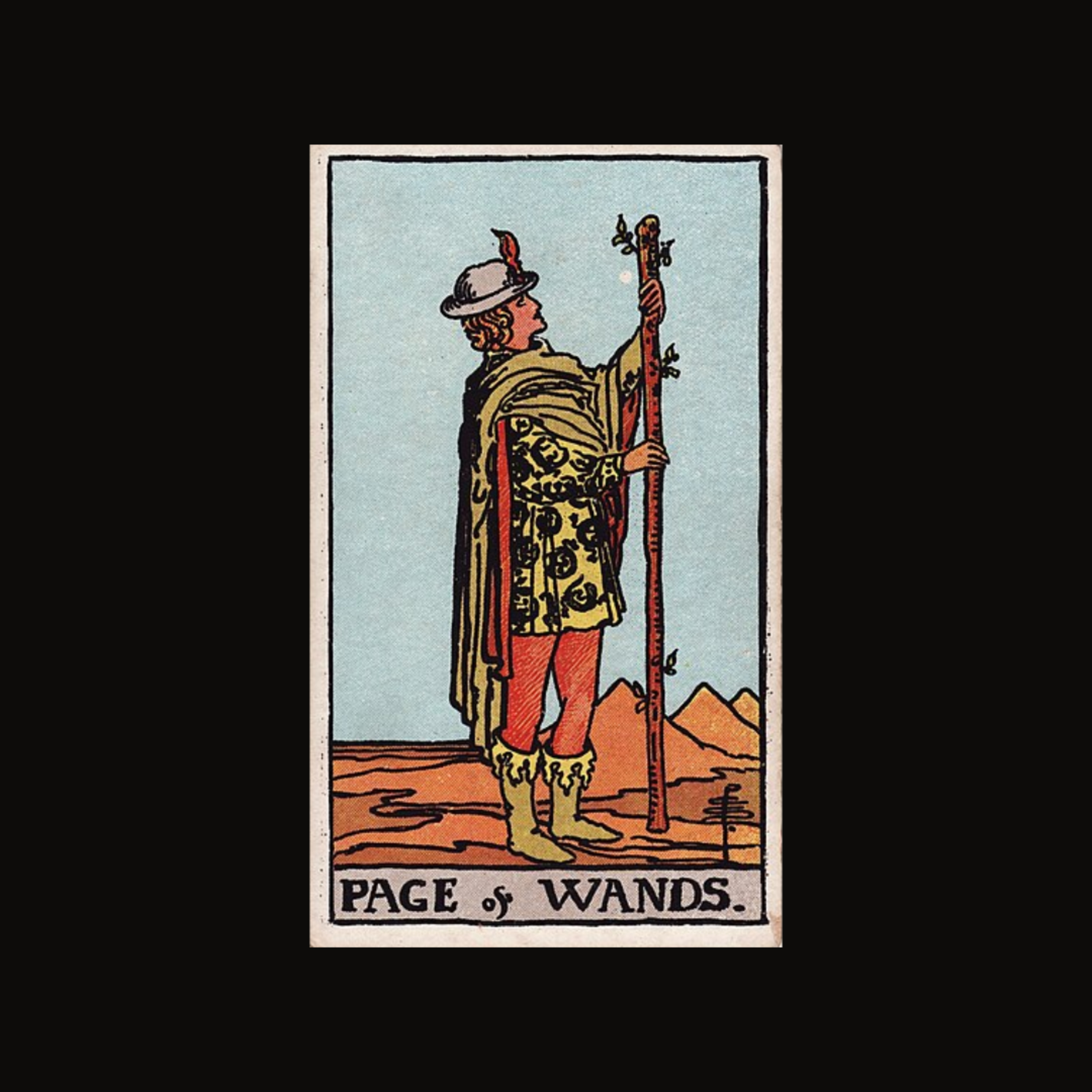 The Court Cards: Page of Wands episode artwork