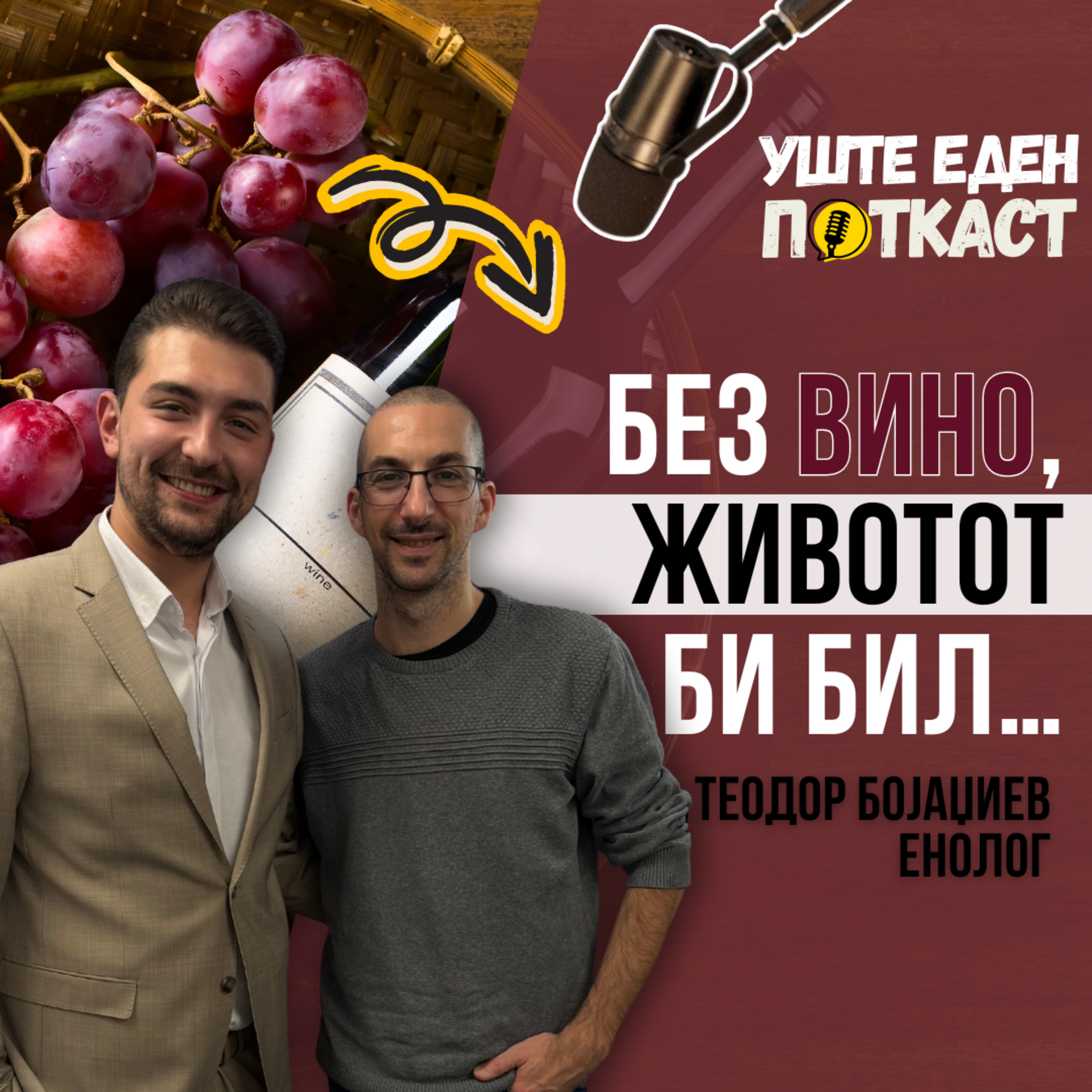 Од лозје до чаша: Уметноста на виното со Теодор Бојаџиев episode artwork