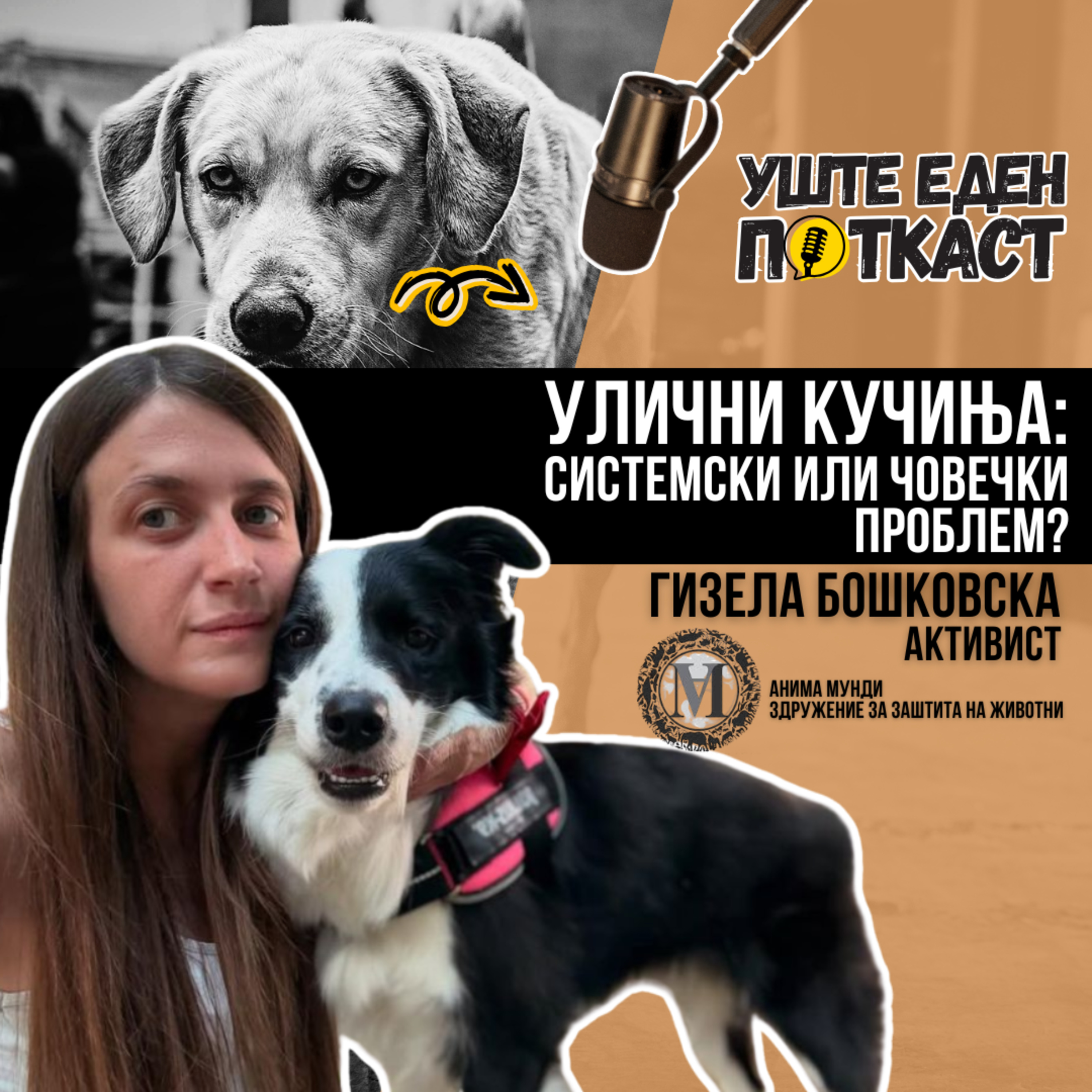 Улични кучиња: Системски или човечки проблем? episode artwork