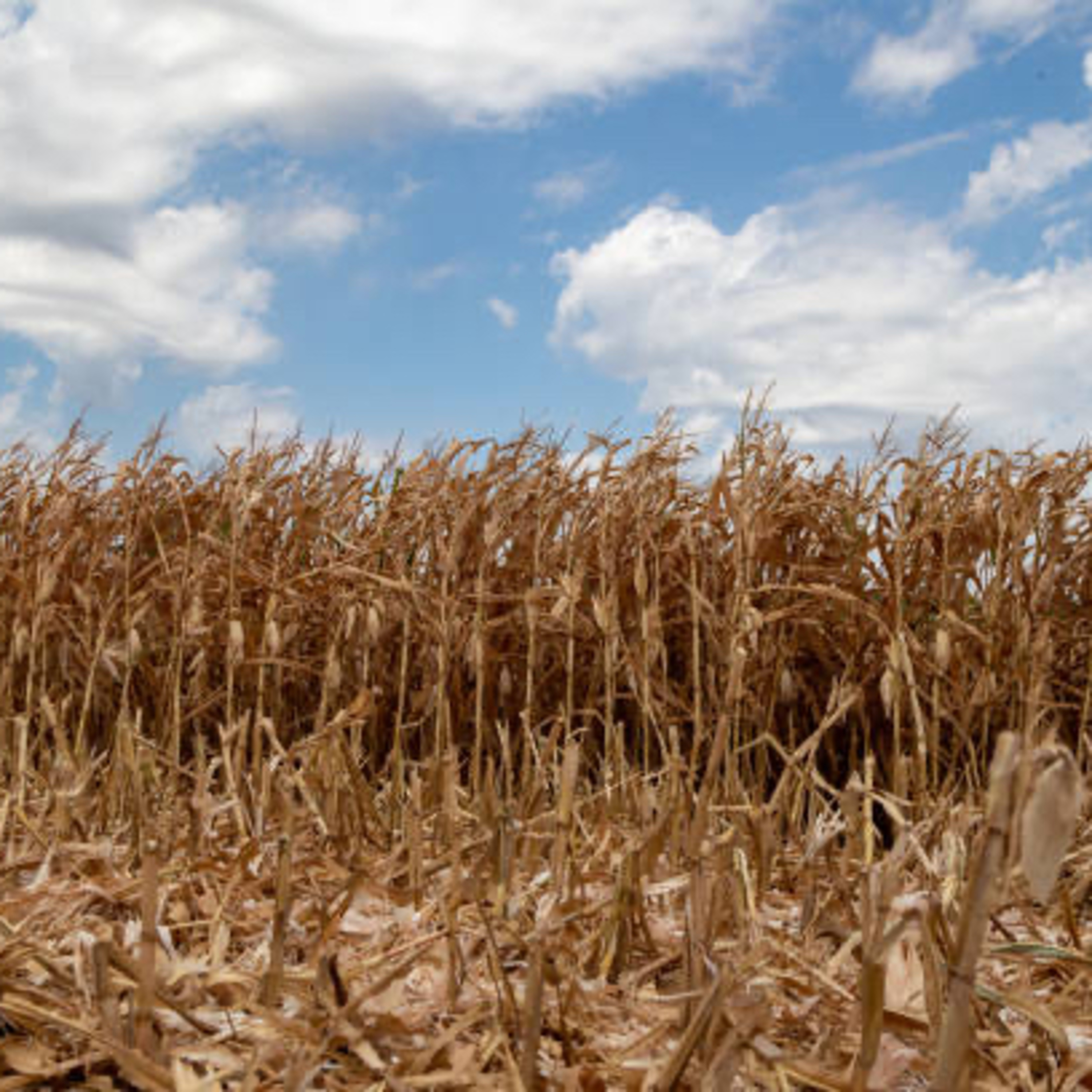 The Farming Preacher