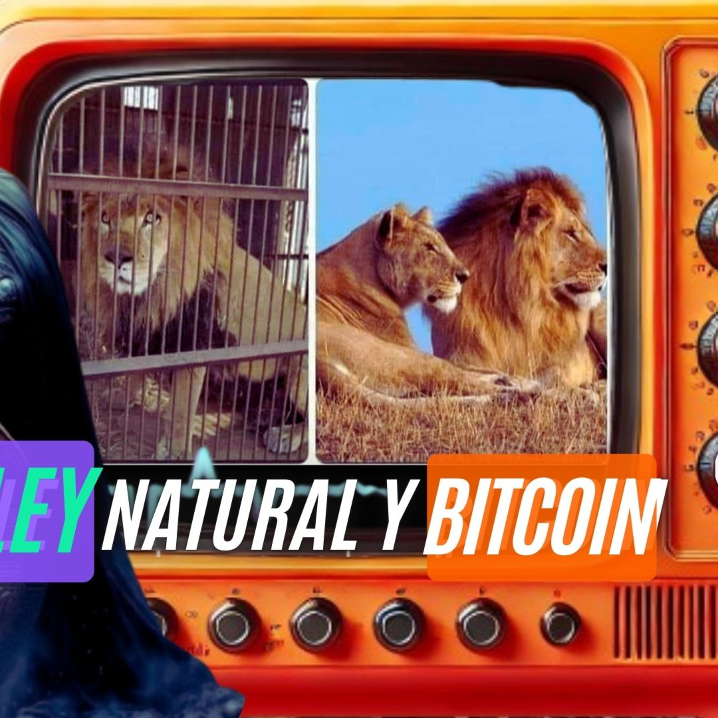 Leon Bitcoin 2140