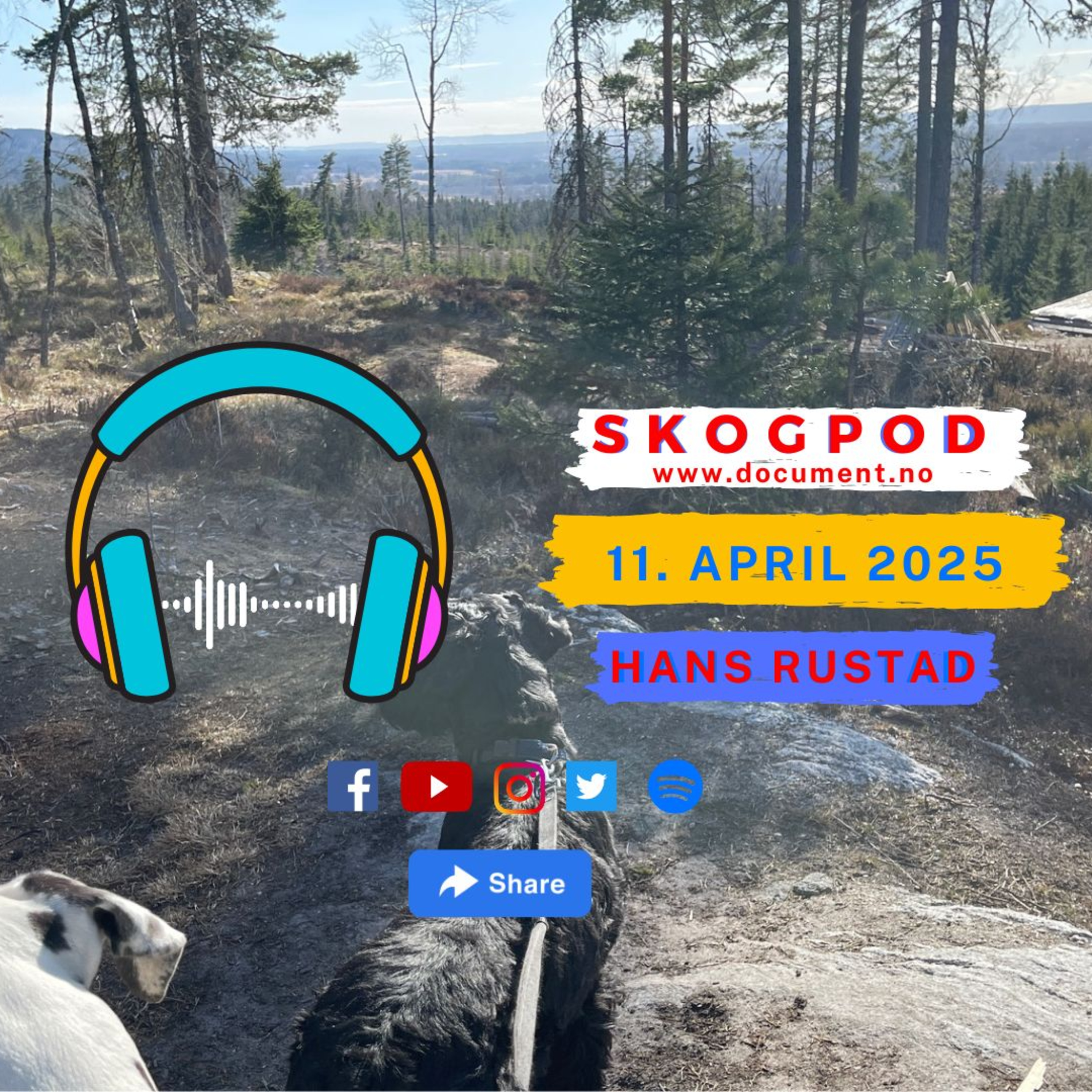 Skogpod med Hans Rustad 11. april 2025 episode artwork