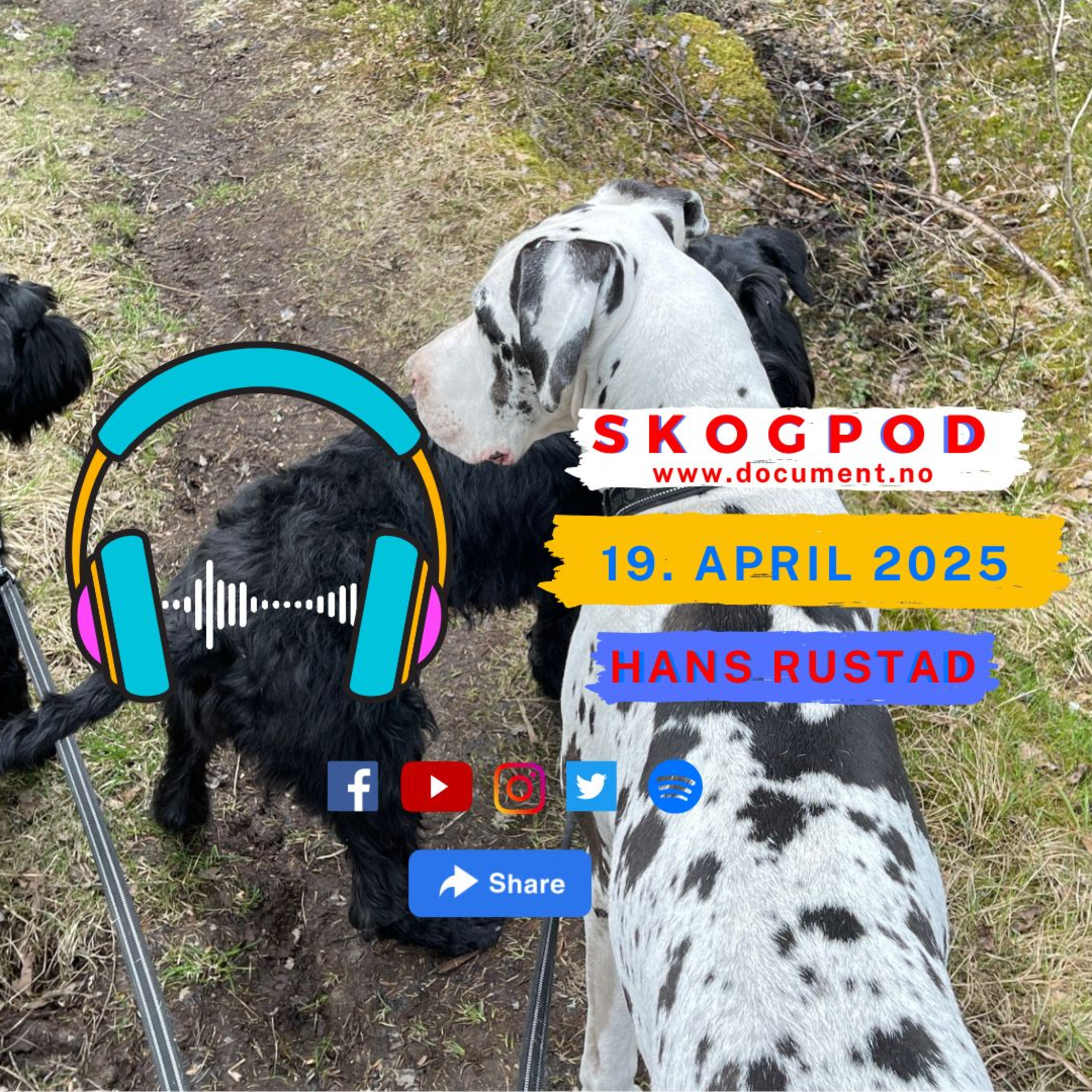 Skogpod med Hans Rustad 19. april 2025 episode artwork