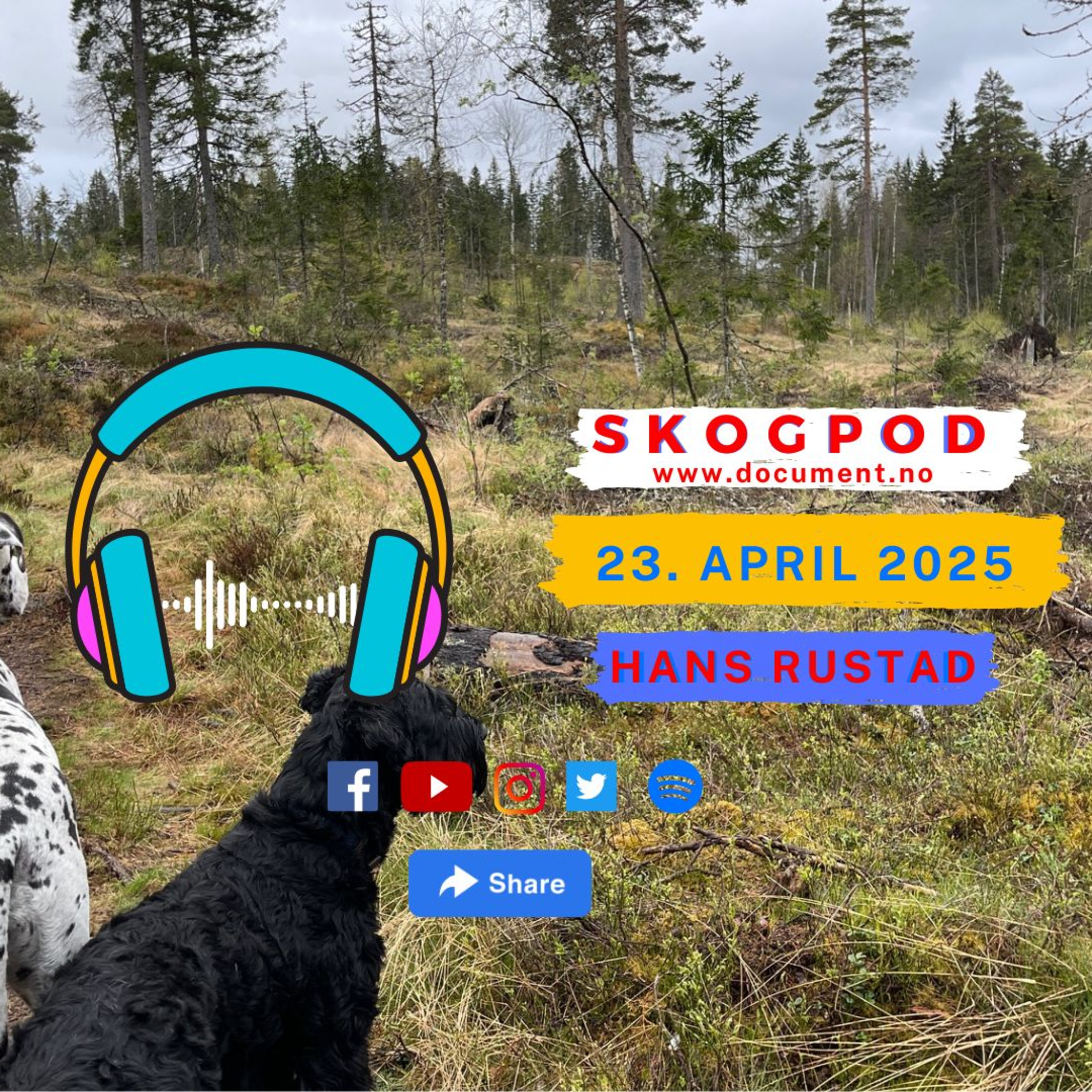 Skogpod med Hans Rustad 23. april 2025 episode artwork
