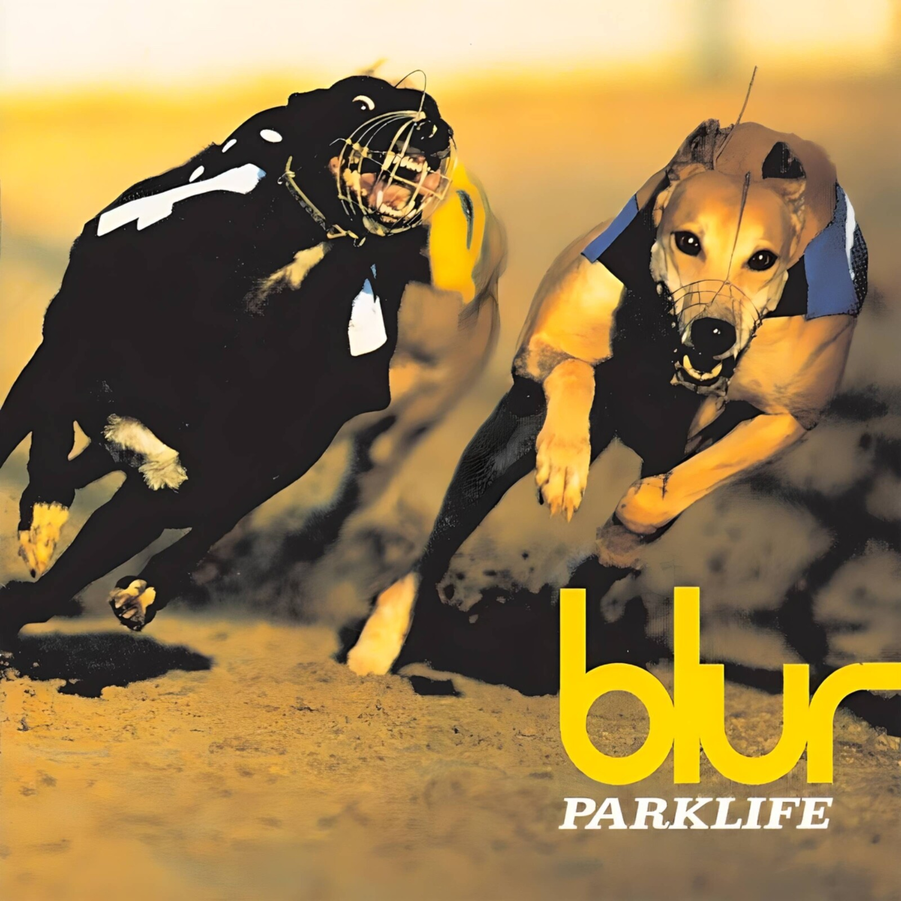 Episode 81 – Preston from The Ordinary Boys – Blur, Parklife