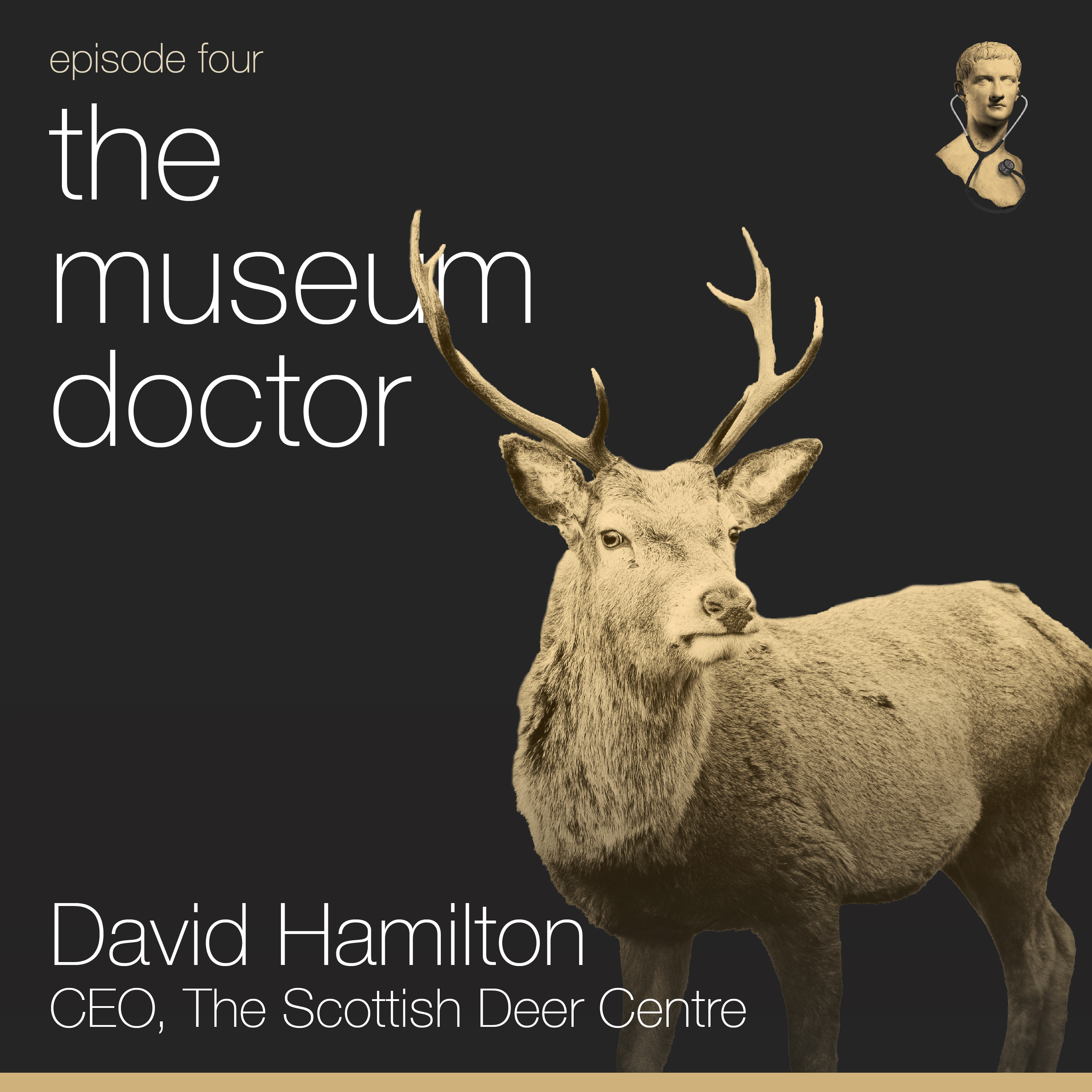 The Museum Doctor | David Hamilton, CEO The Scottish Deer Centre episode artwork