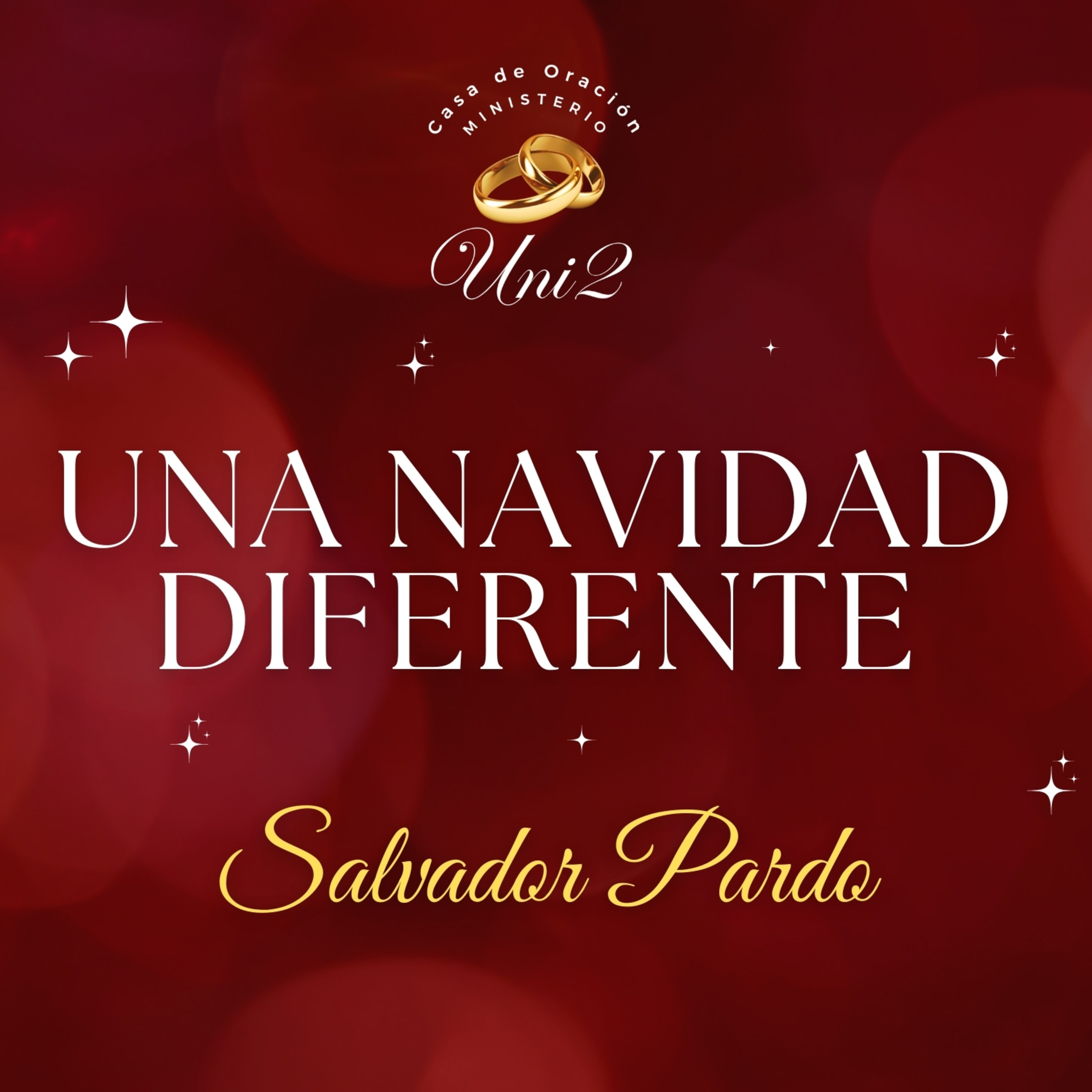 Salvador Pardo - Una navidad diferente