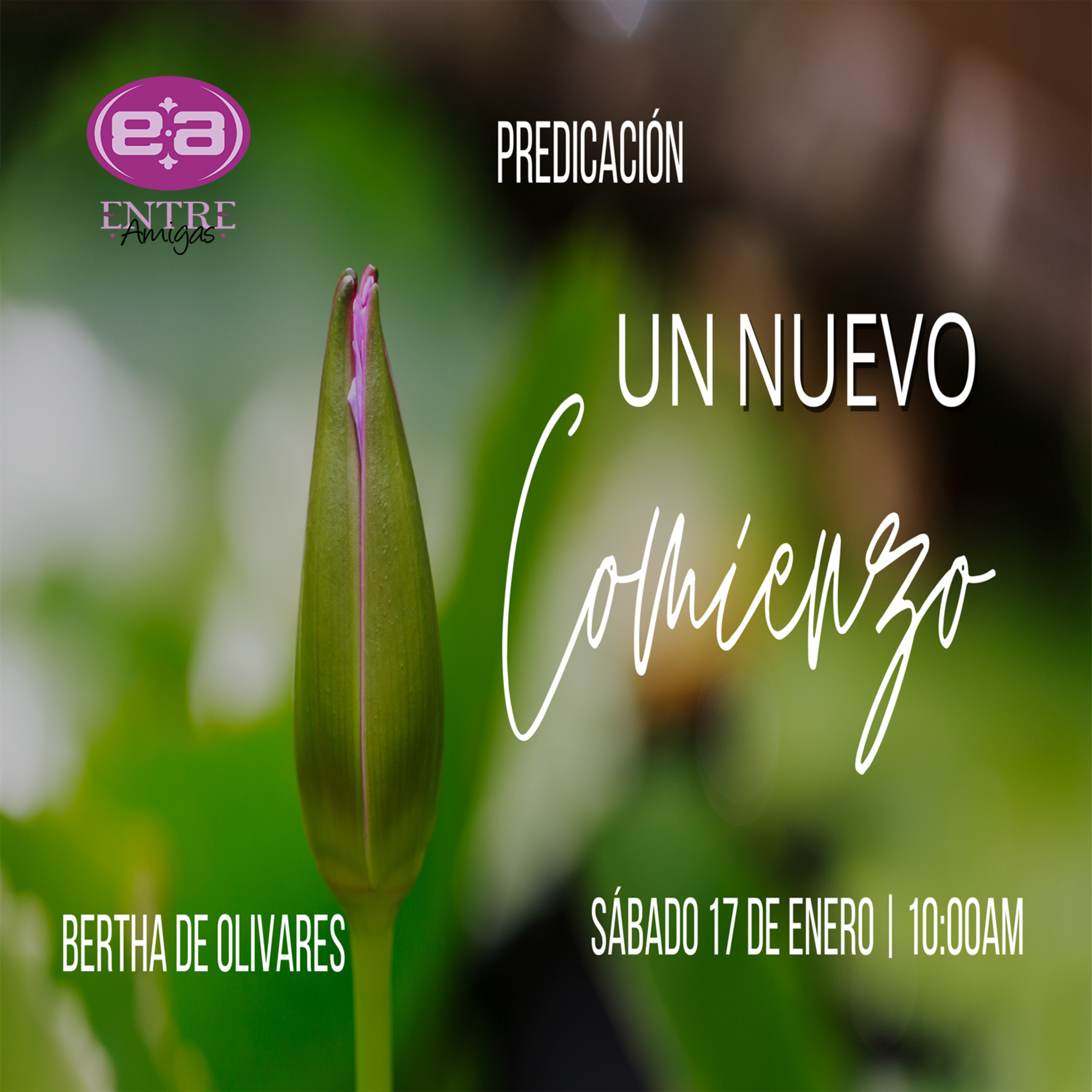 Bertha de Olivares - Un nuevo comienzo