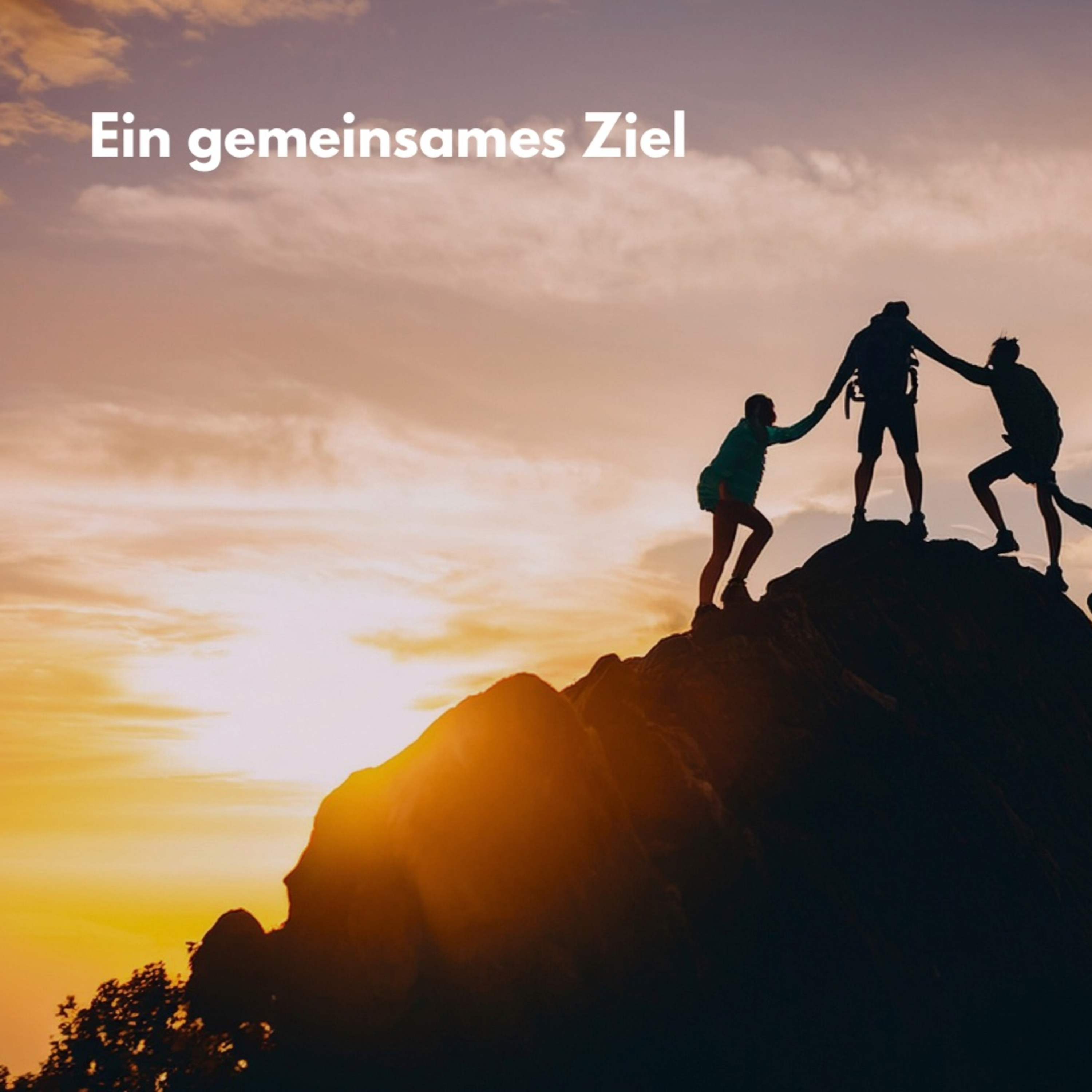 cgbn - Christus-Gemeinde Barmbek-Nord