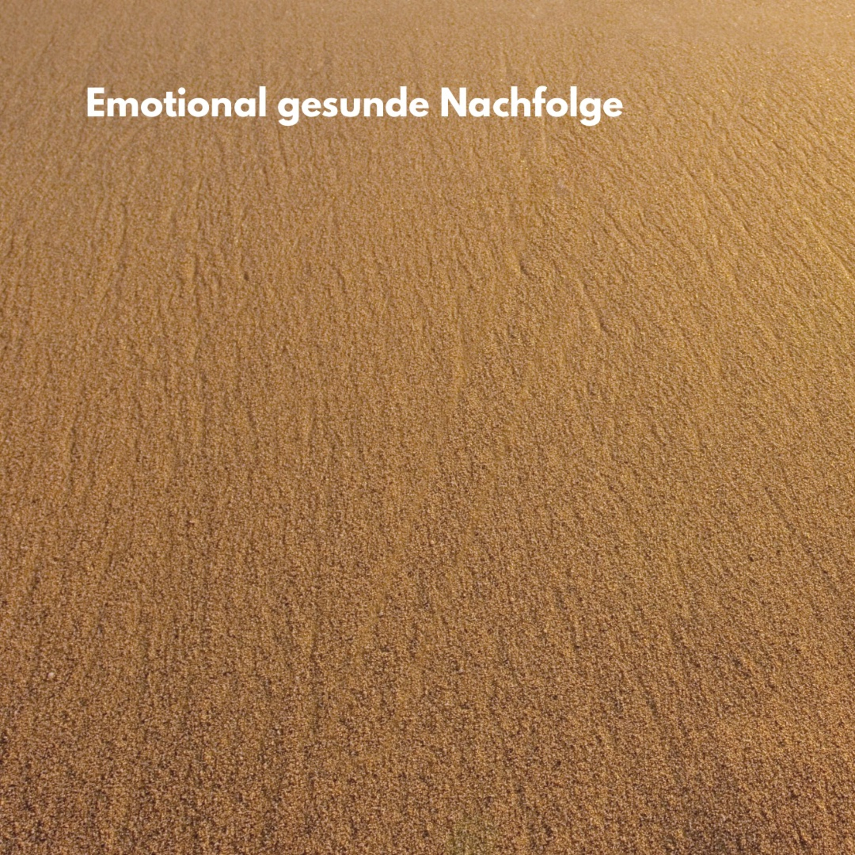 Emotional gesunde Nachfolge | Predigt am 15.3.2026 | Rudi Opoku episode artwork