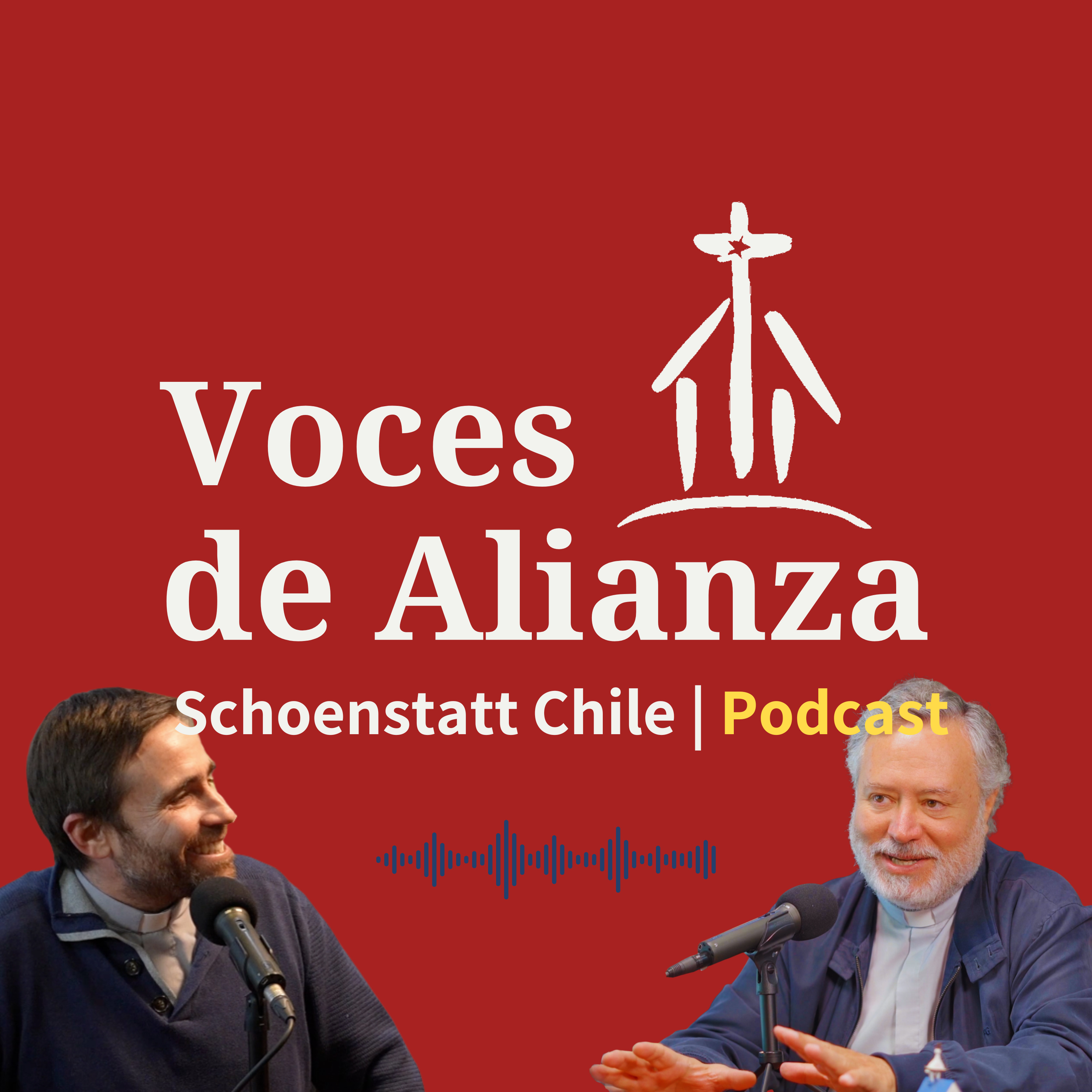 Política y fe a la luz de la Doctrina Social de la Iglesia episode artwork