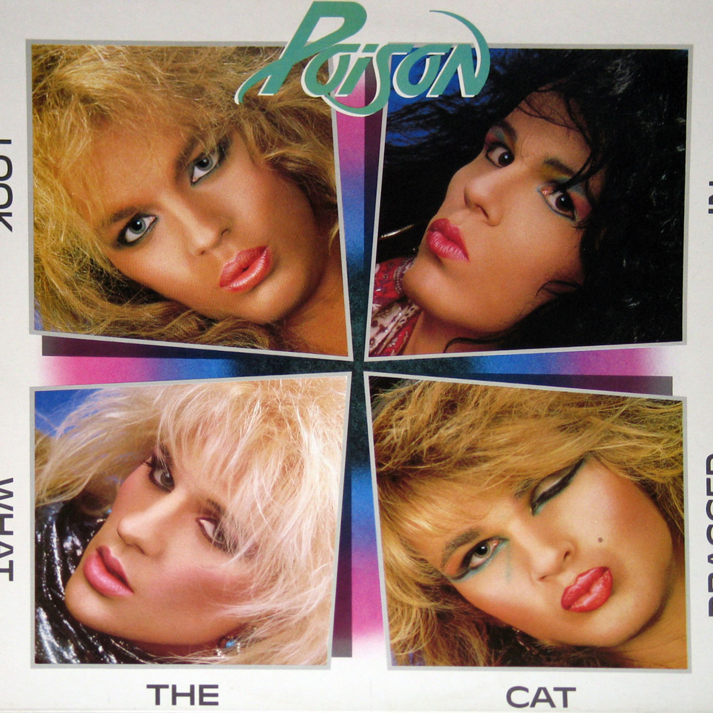 237 – Poison: “Look What the Cat Dragged In” (1986) episode artwork