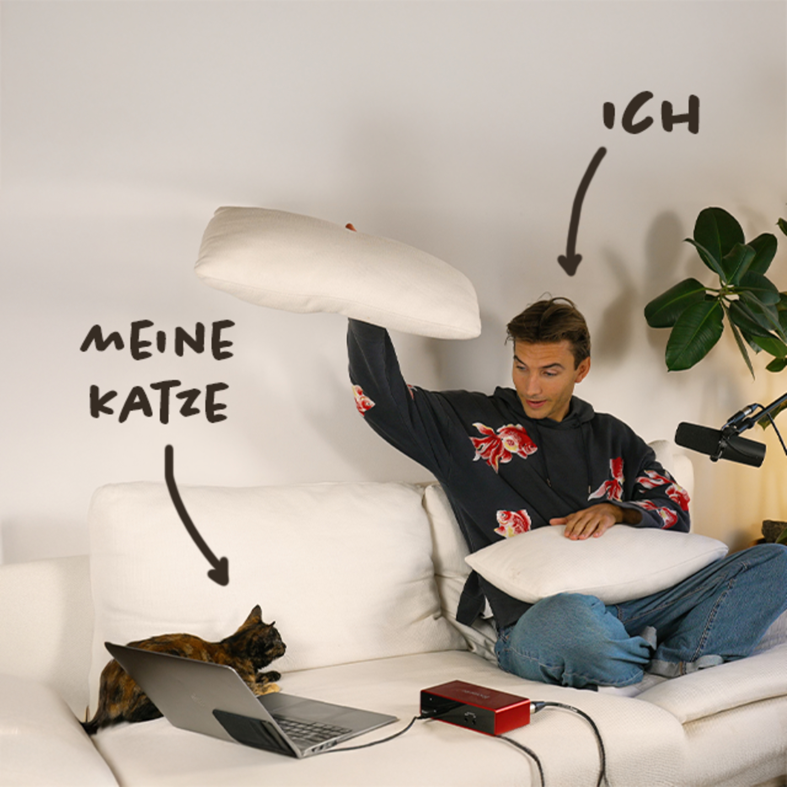 #54 Mein Lehrer, Die Katze (6 Dinge die ich von meiner Katze gelernt habe) episode artwork