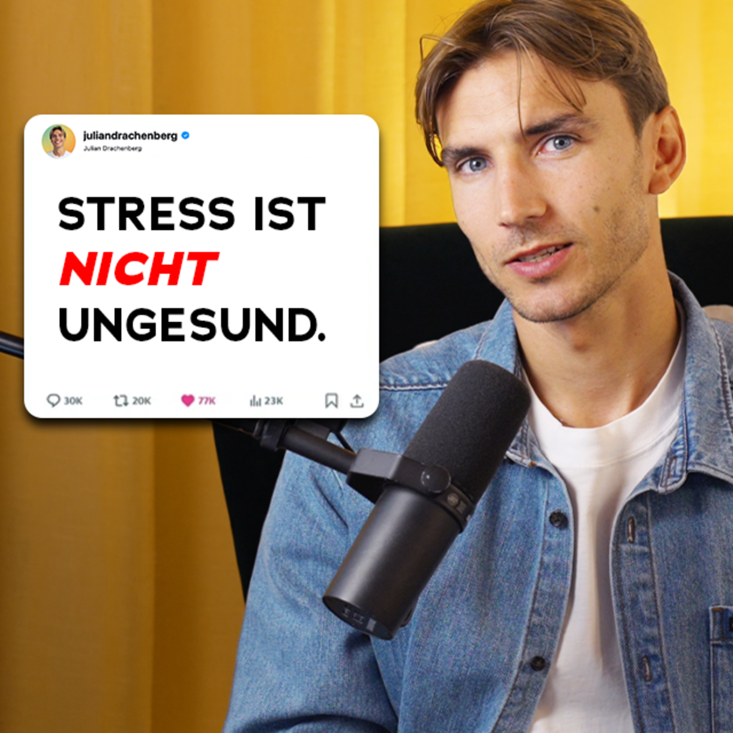 Warum du Stress NICHT vermeiden solltest – 5 Mythen über Stress, die jeder glaubt und was wirklich stimmt #76 episode artwork