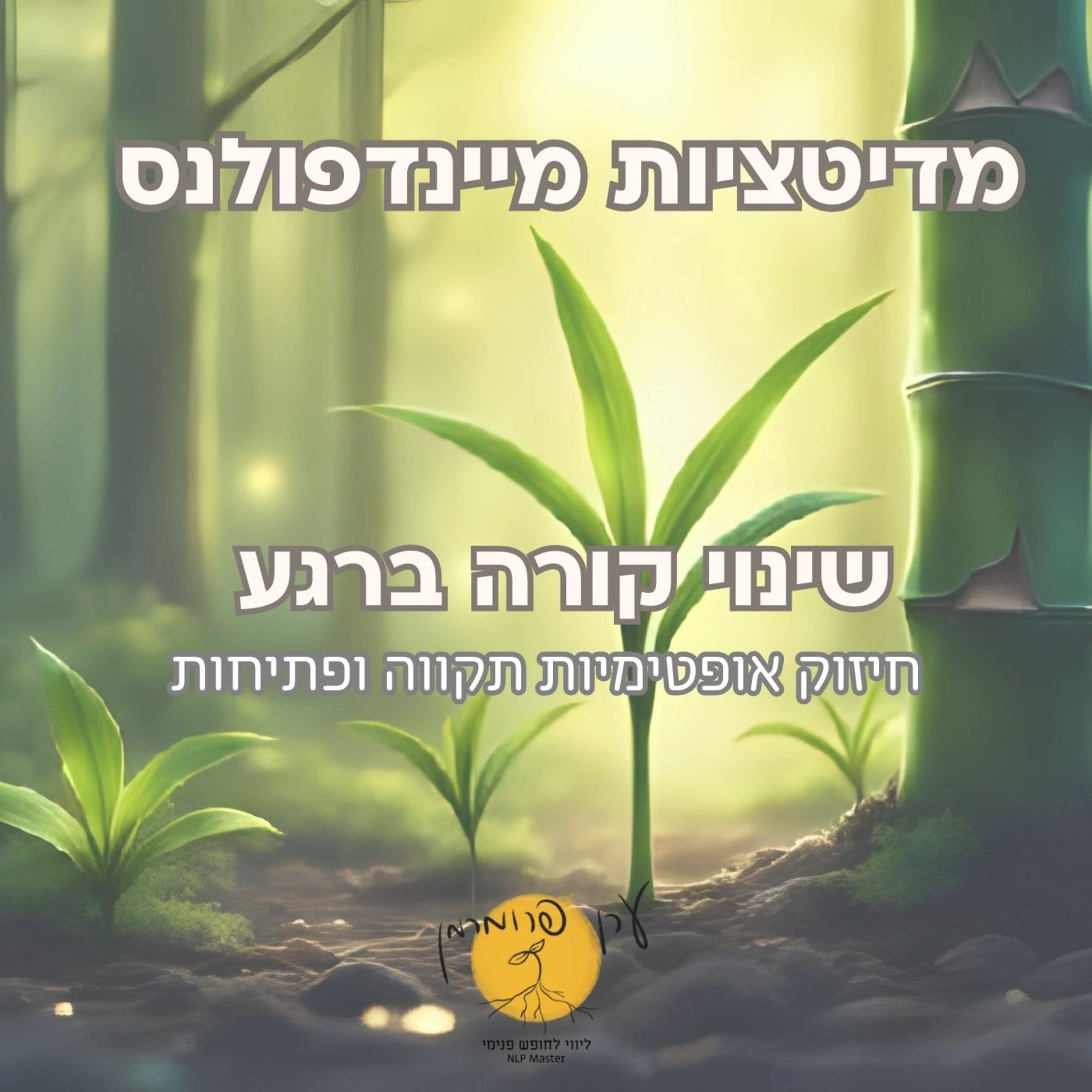מדיטציה שינוי קורה ברגע - אופטימיות ותקווה episode artwork