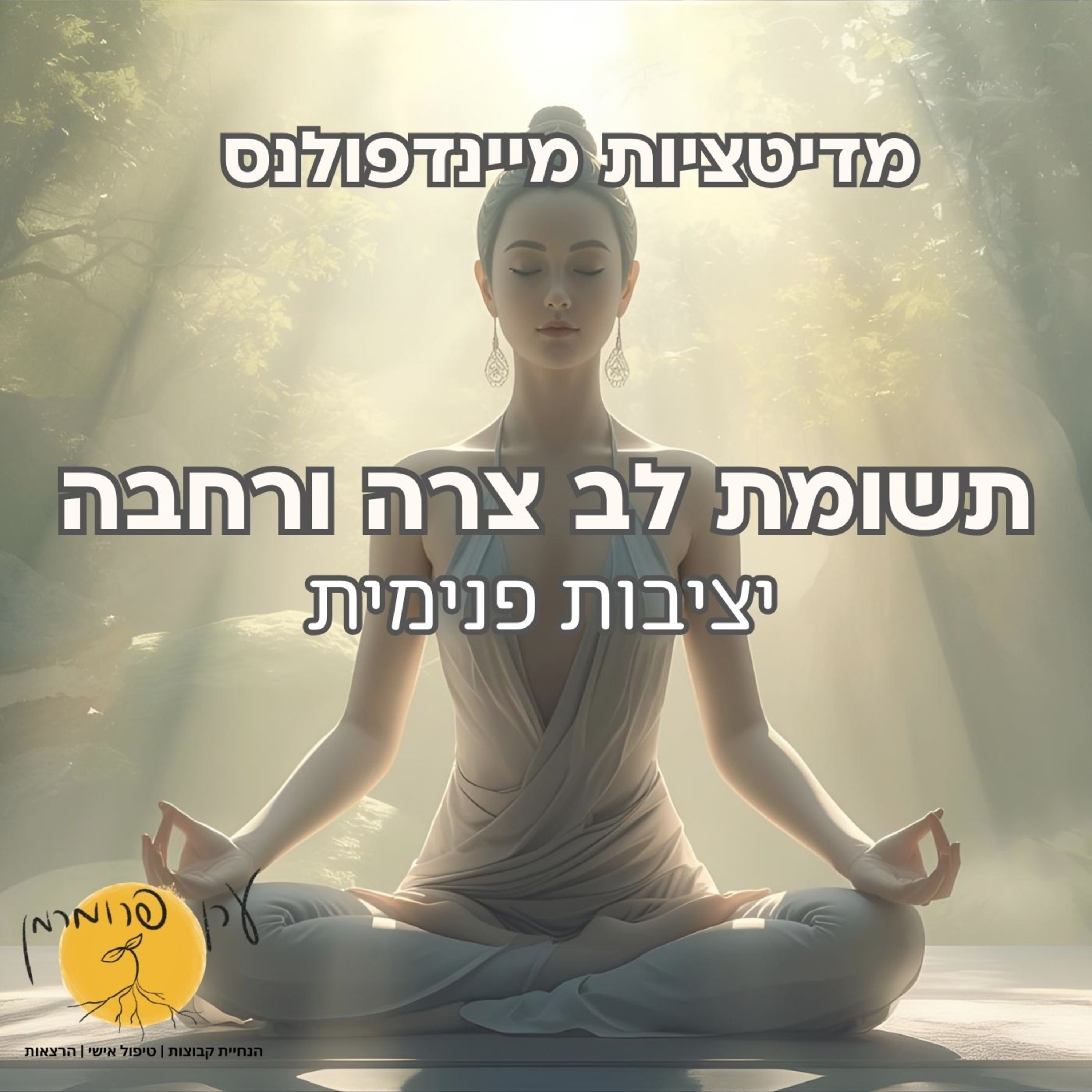 מדיטציה יציבות פנימית episode artwork