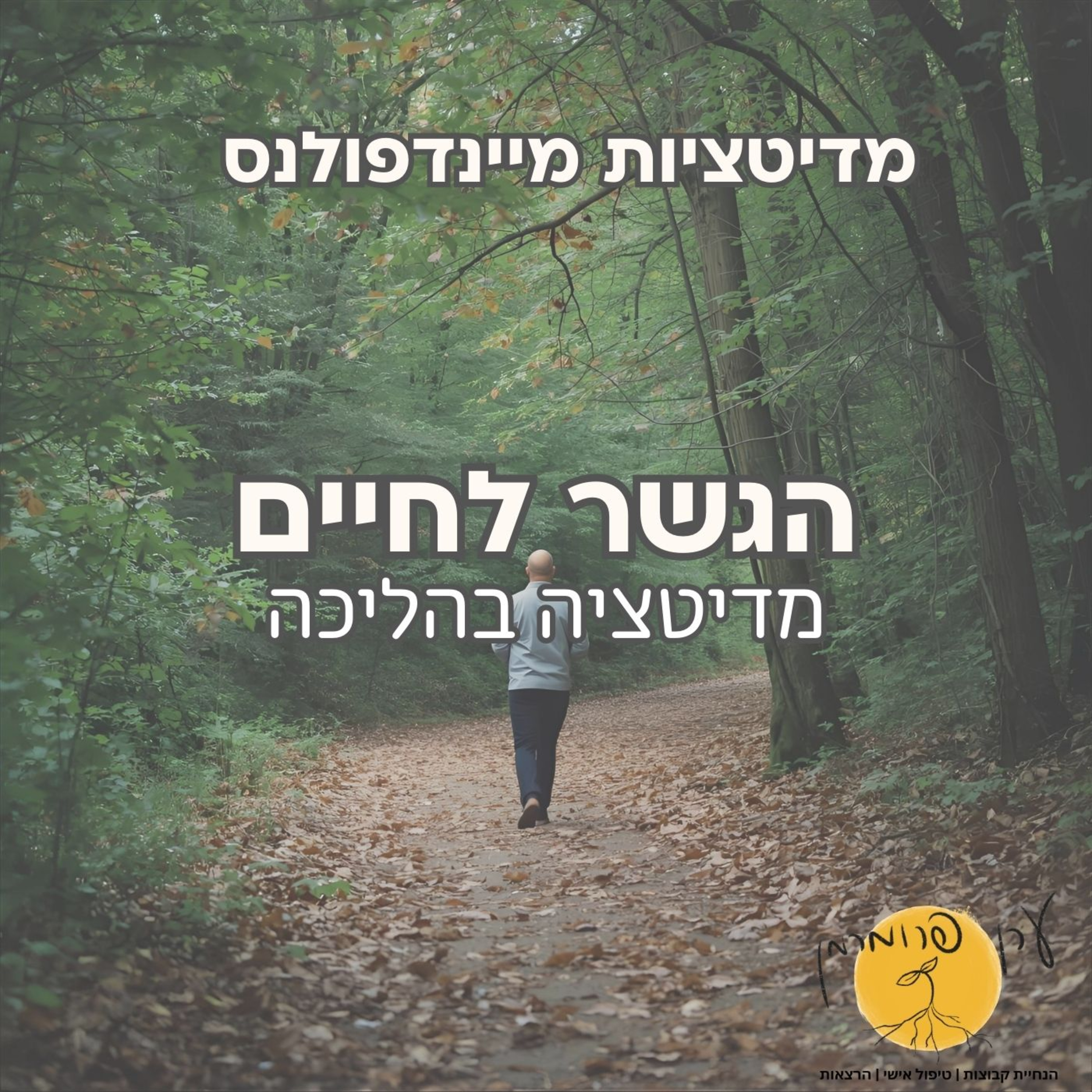 מדיטציה בהליכה - גשר לחיים episode artwork