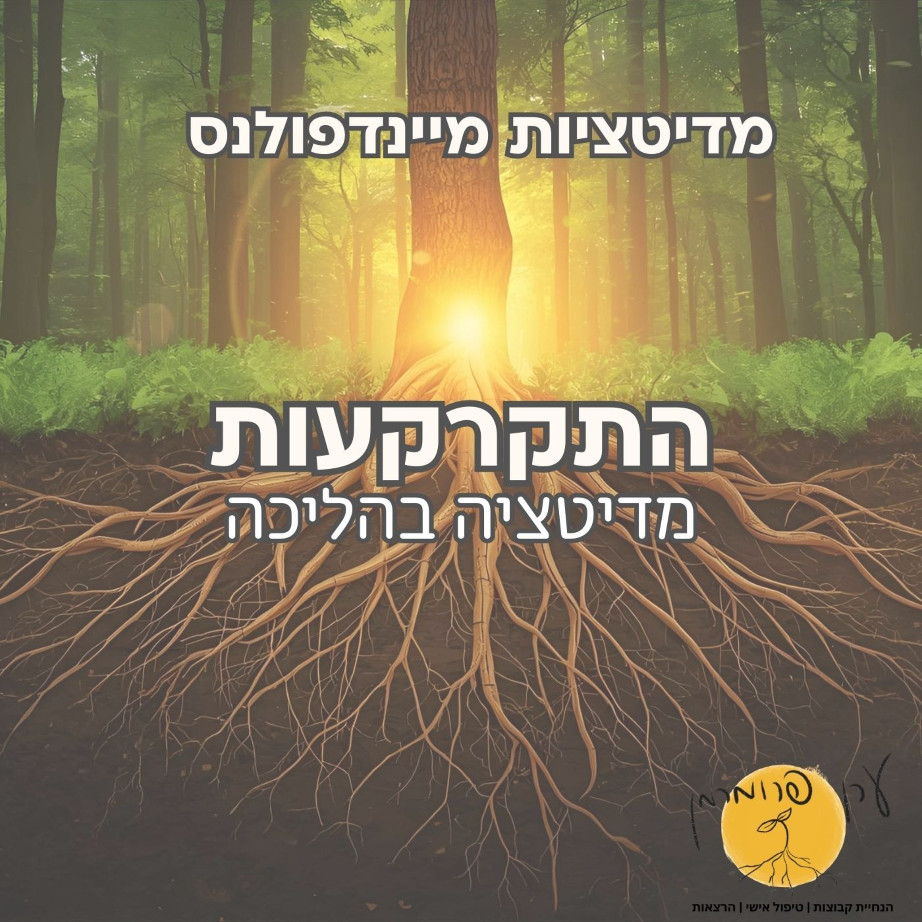 מדיטציה בהליכה - התקרקעות episode artwork
