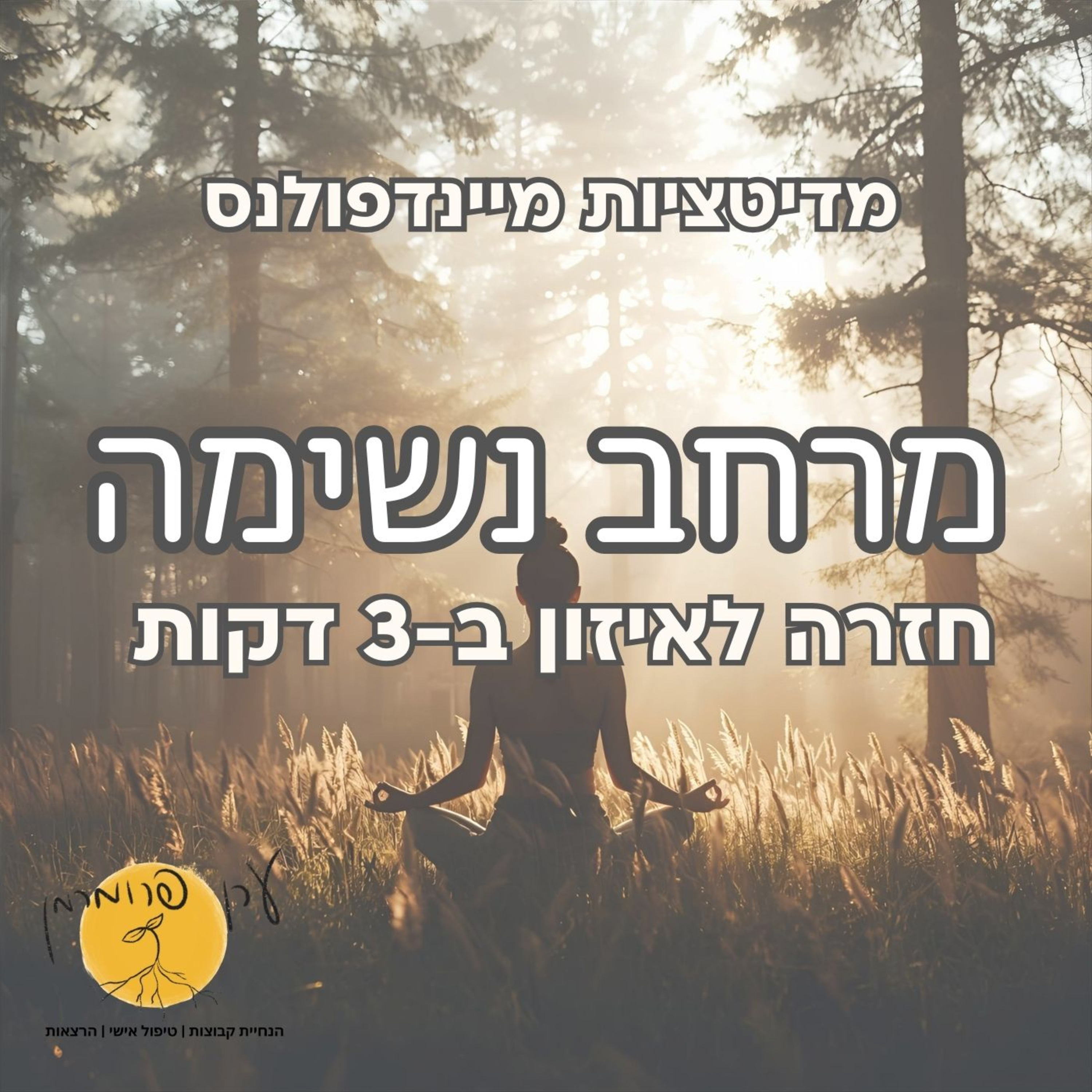 מרחב נשימה: חזרה לאיזון episode artwork