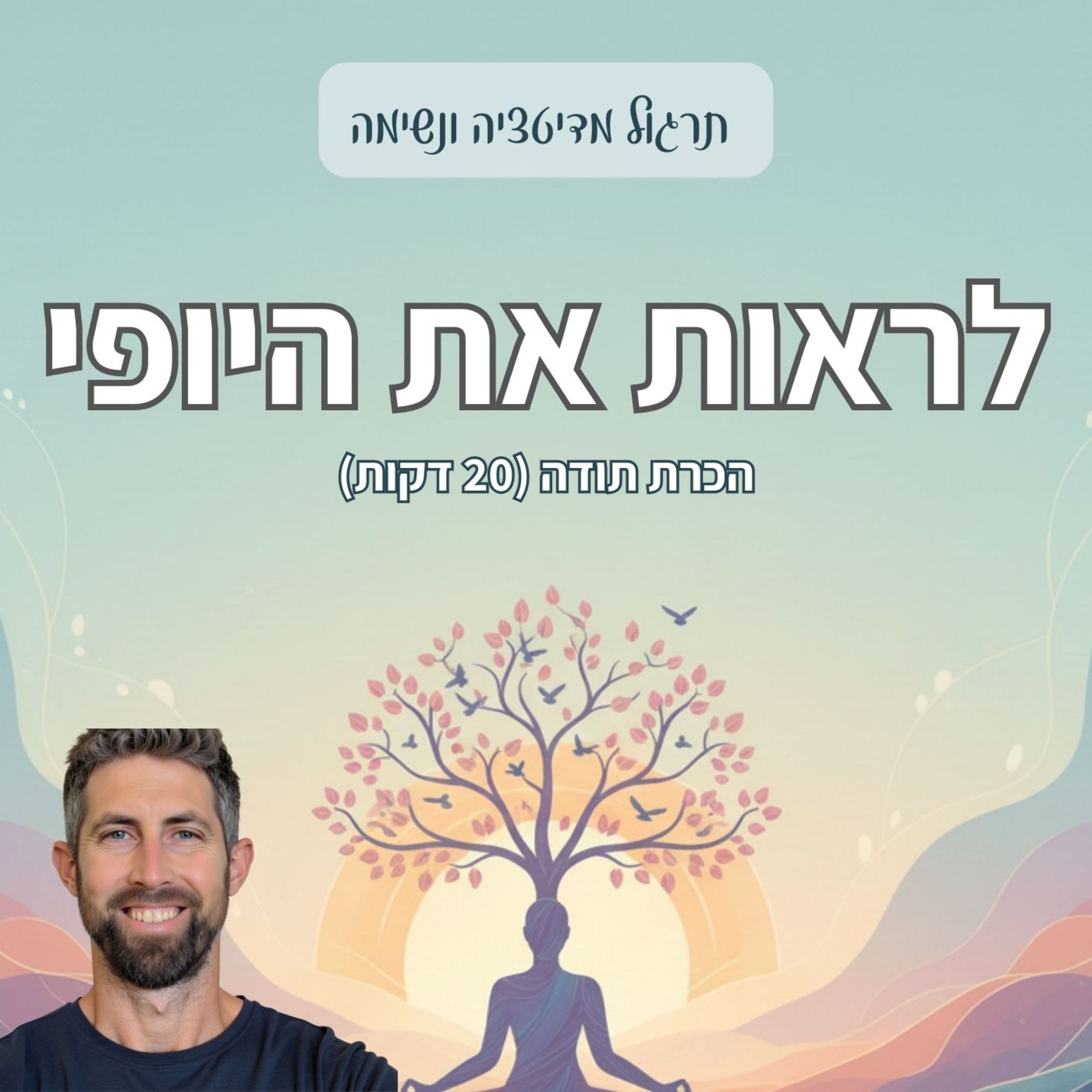 מדיטציה להכרת תודה | חיבור למשאבים פנימיים episode artwork
