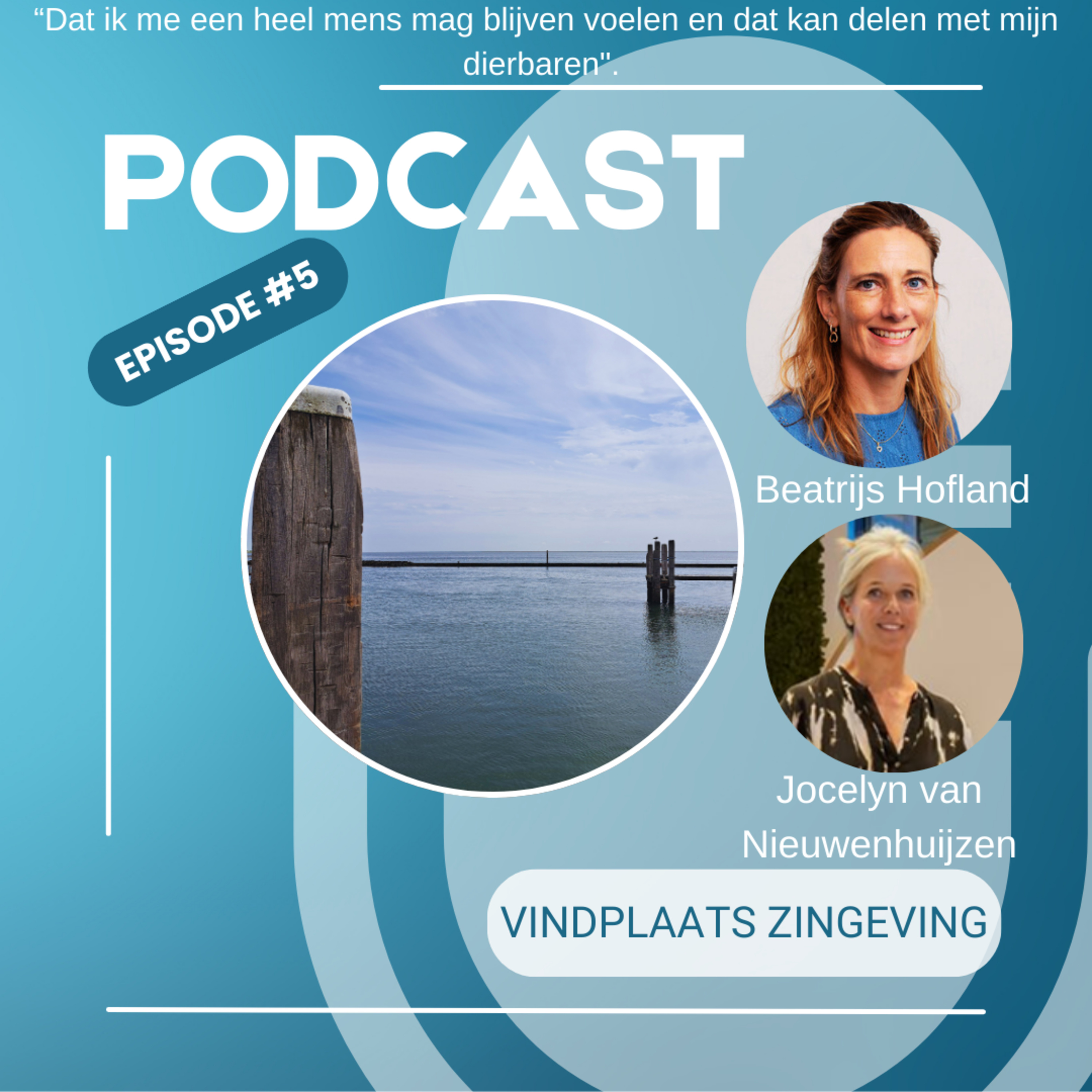 Artwork for Vindplaats zingeving