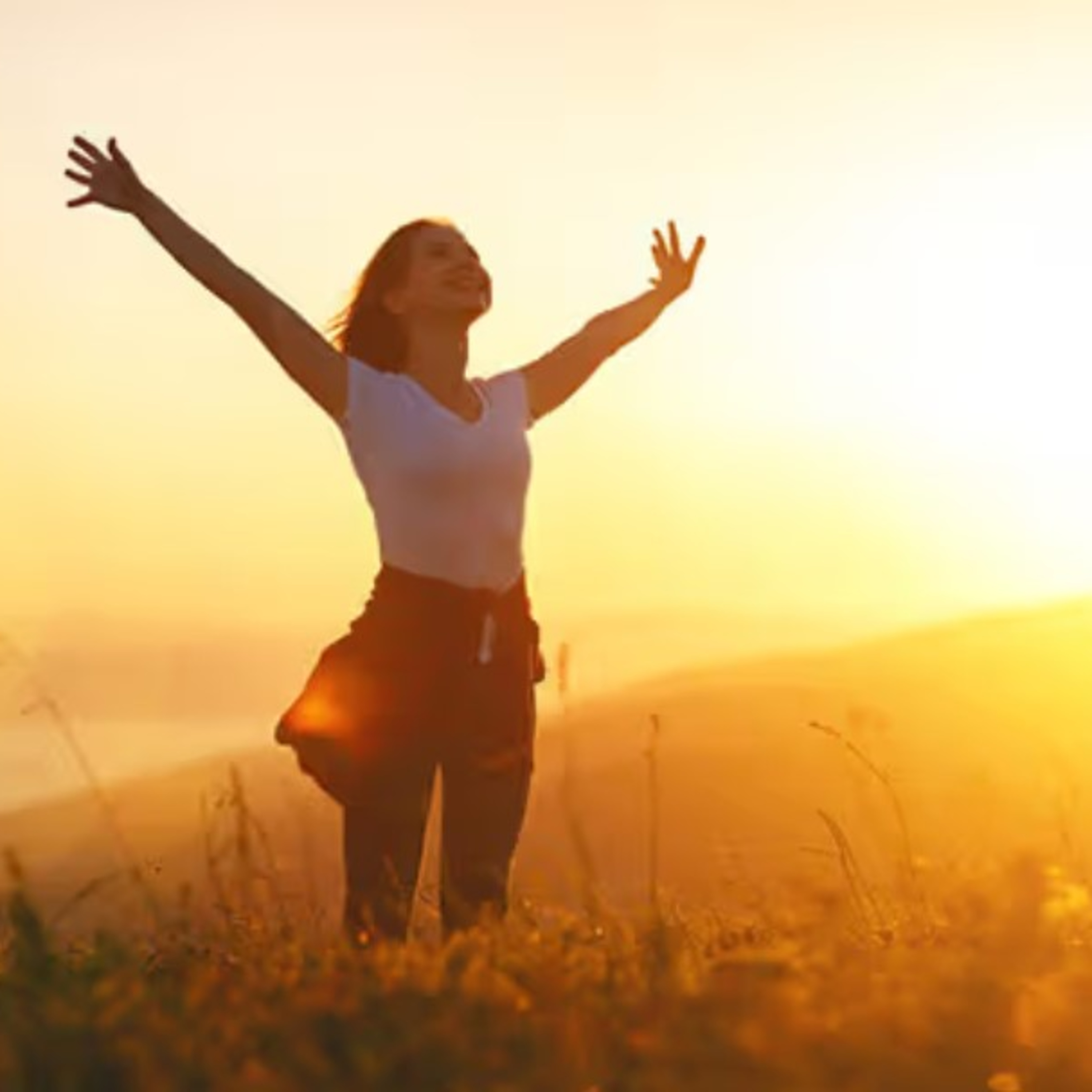 5 Key Steps for Academic Well-Being episode artwork