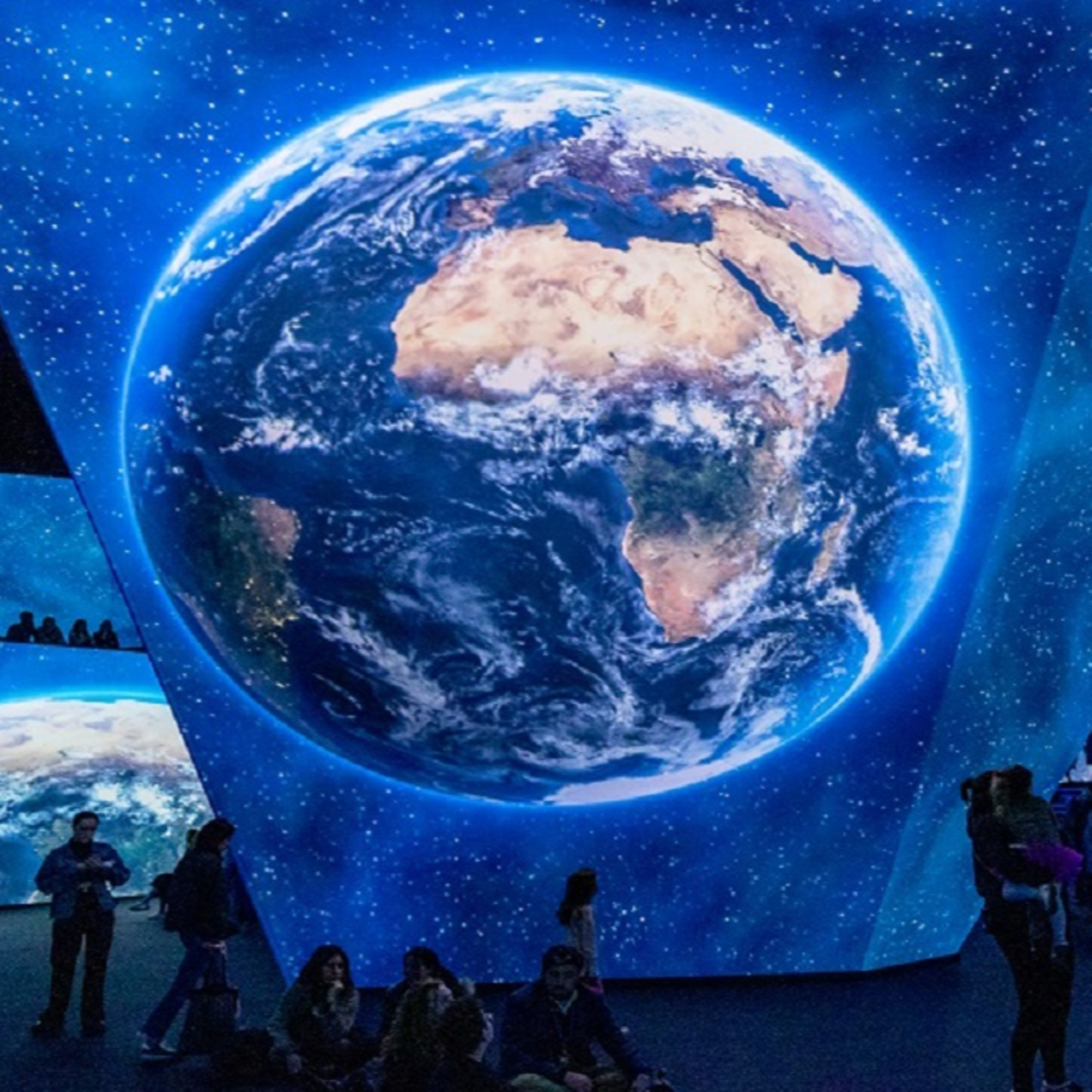 Academic Cheating BBC Earth  episode artwork