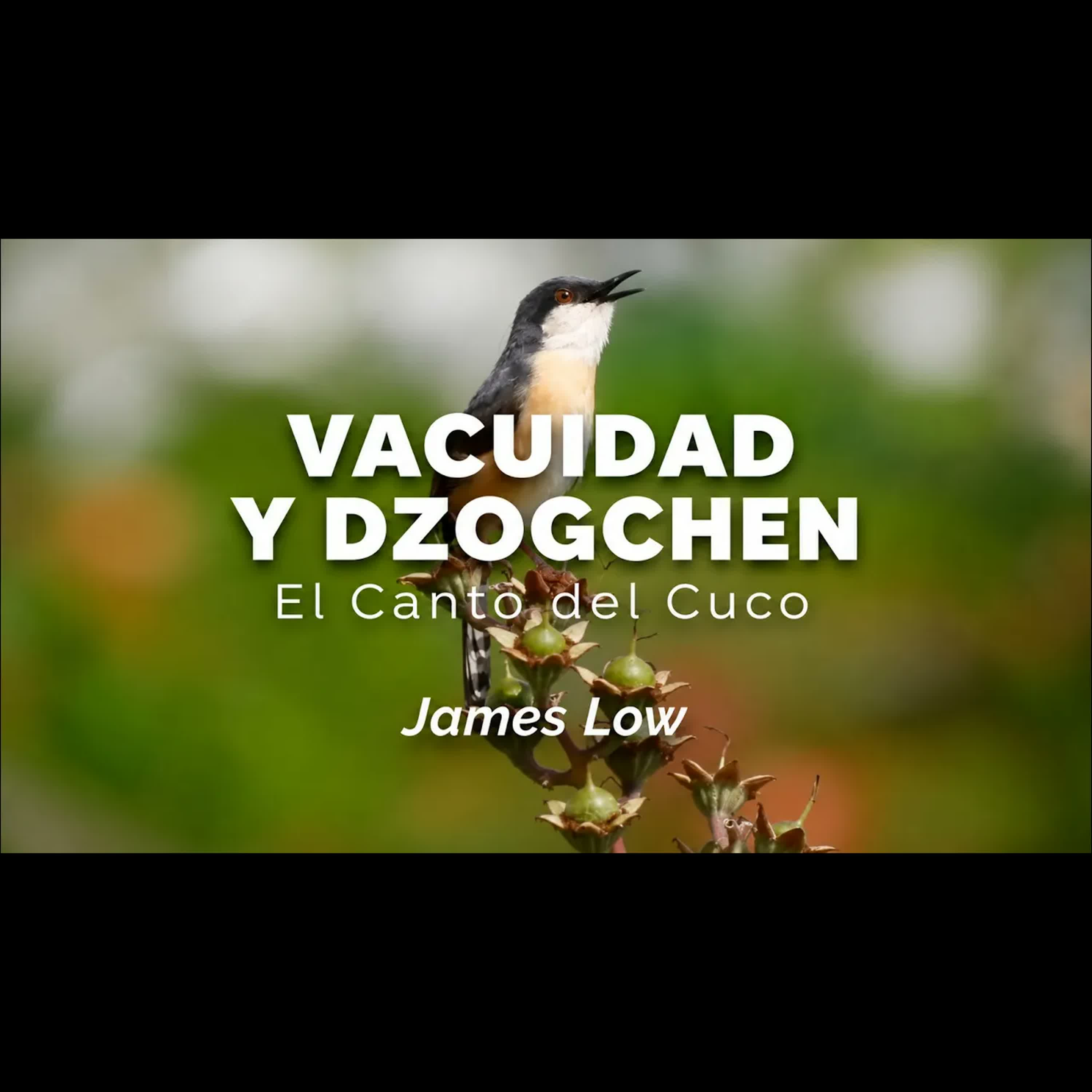Emptiness and dzogchen: the song of the cuckoo. [EN-ES] Granada 10.2014