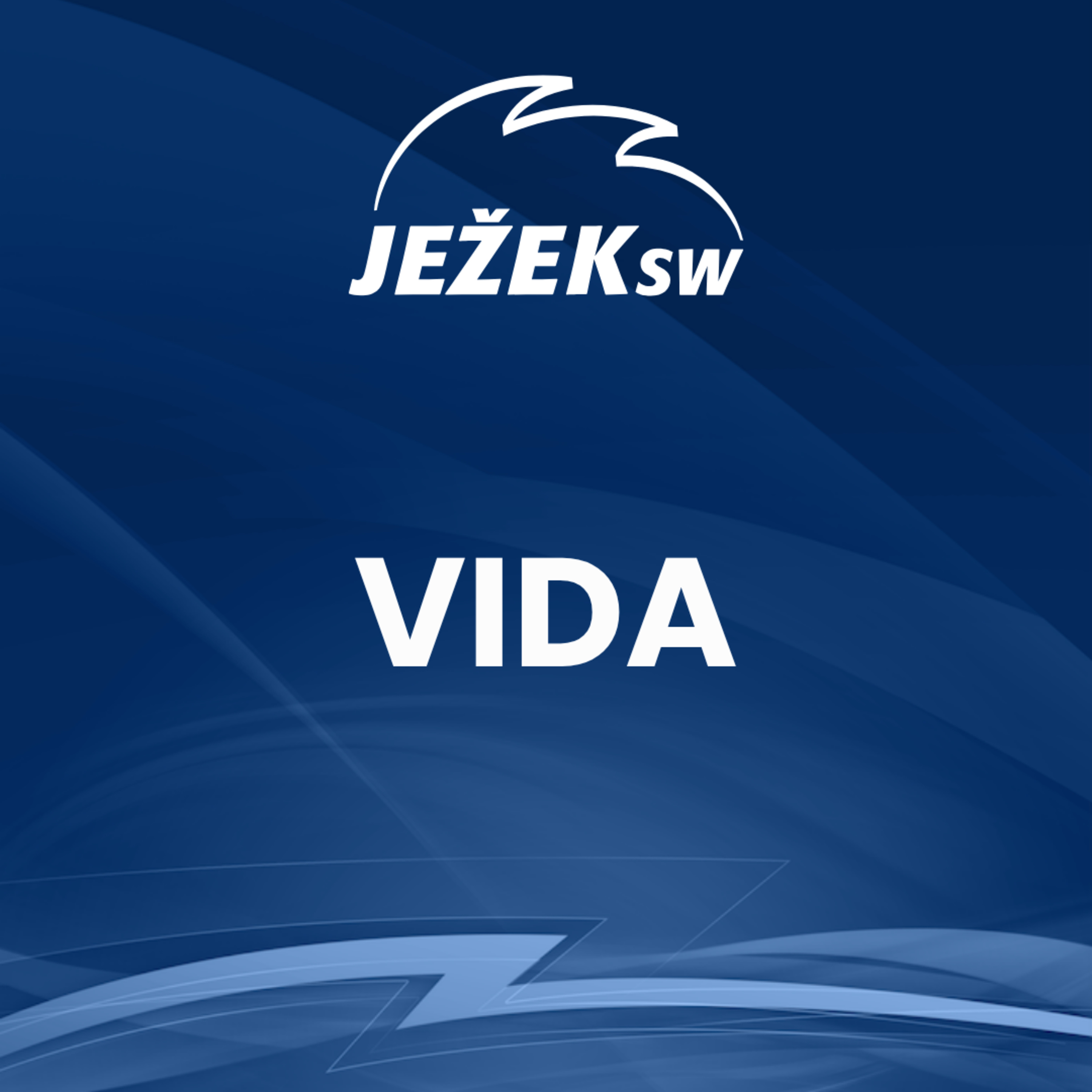 DPH v digitálním věku: Co přinese ViDA účetním? episode artwork