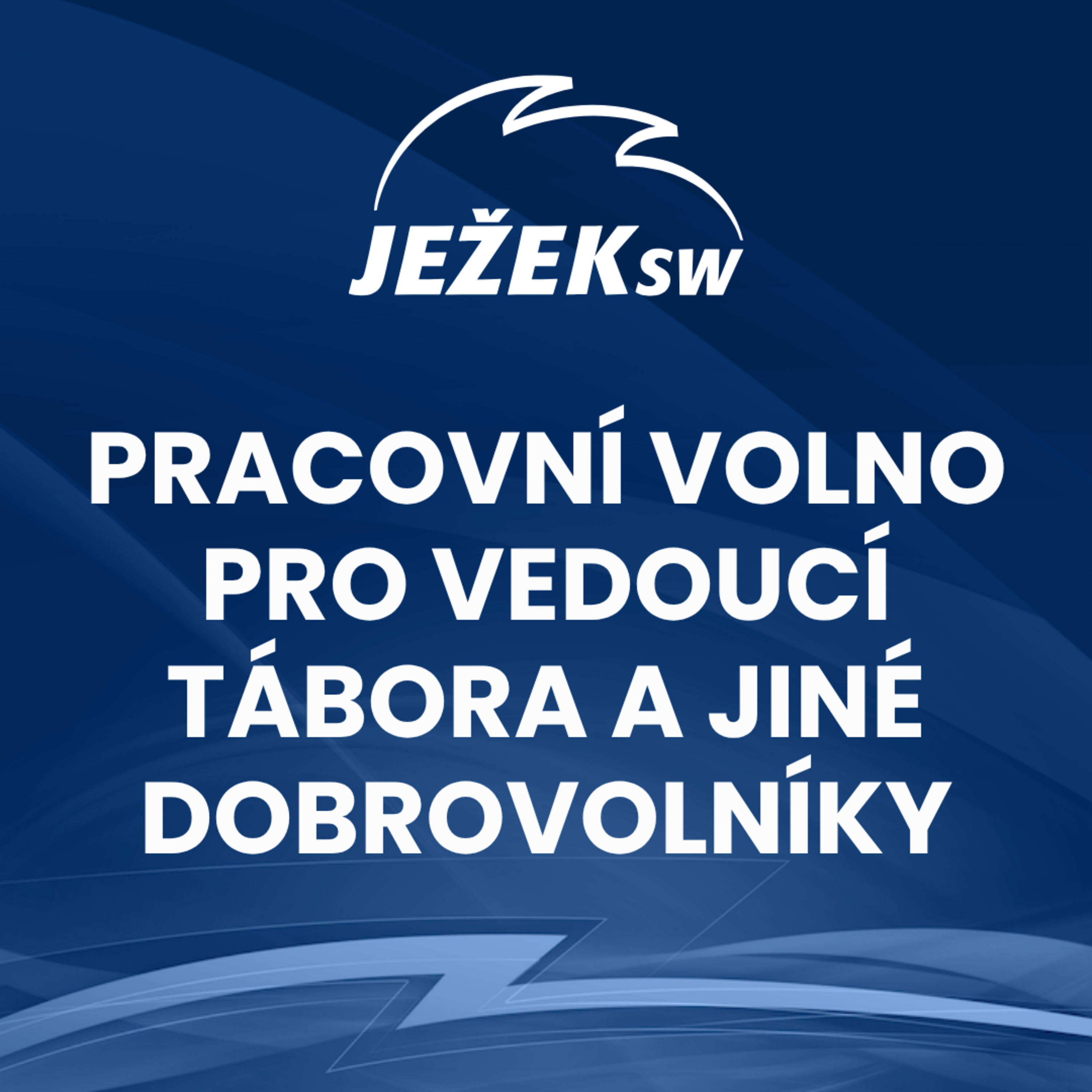Pracovní volno pro vedoucí tábora a jiné dobrovolníky episode artwork