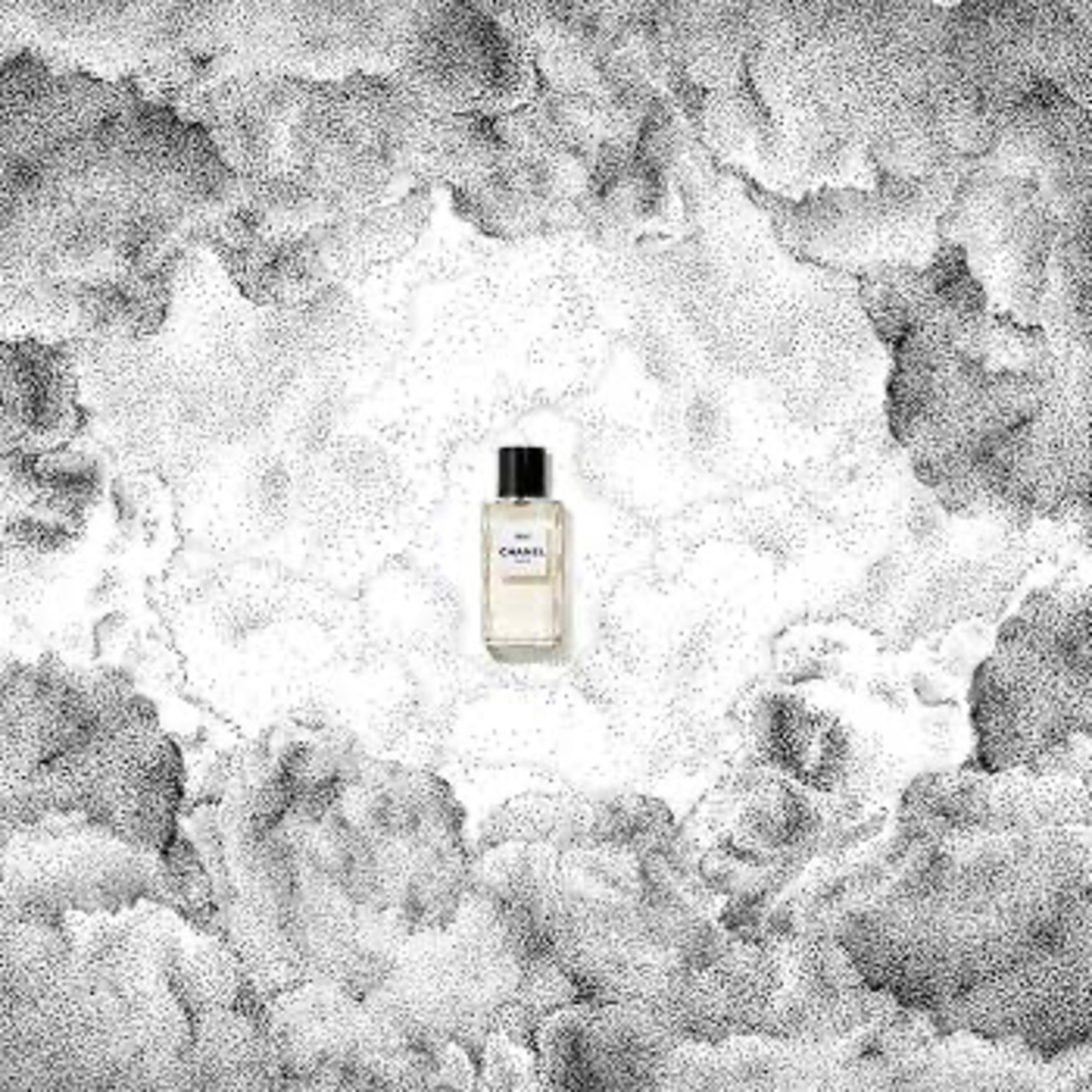 SSP - SOCIEDADE SECRETA PERFUMADA
