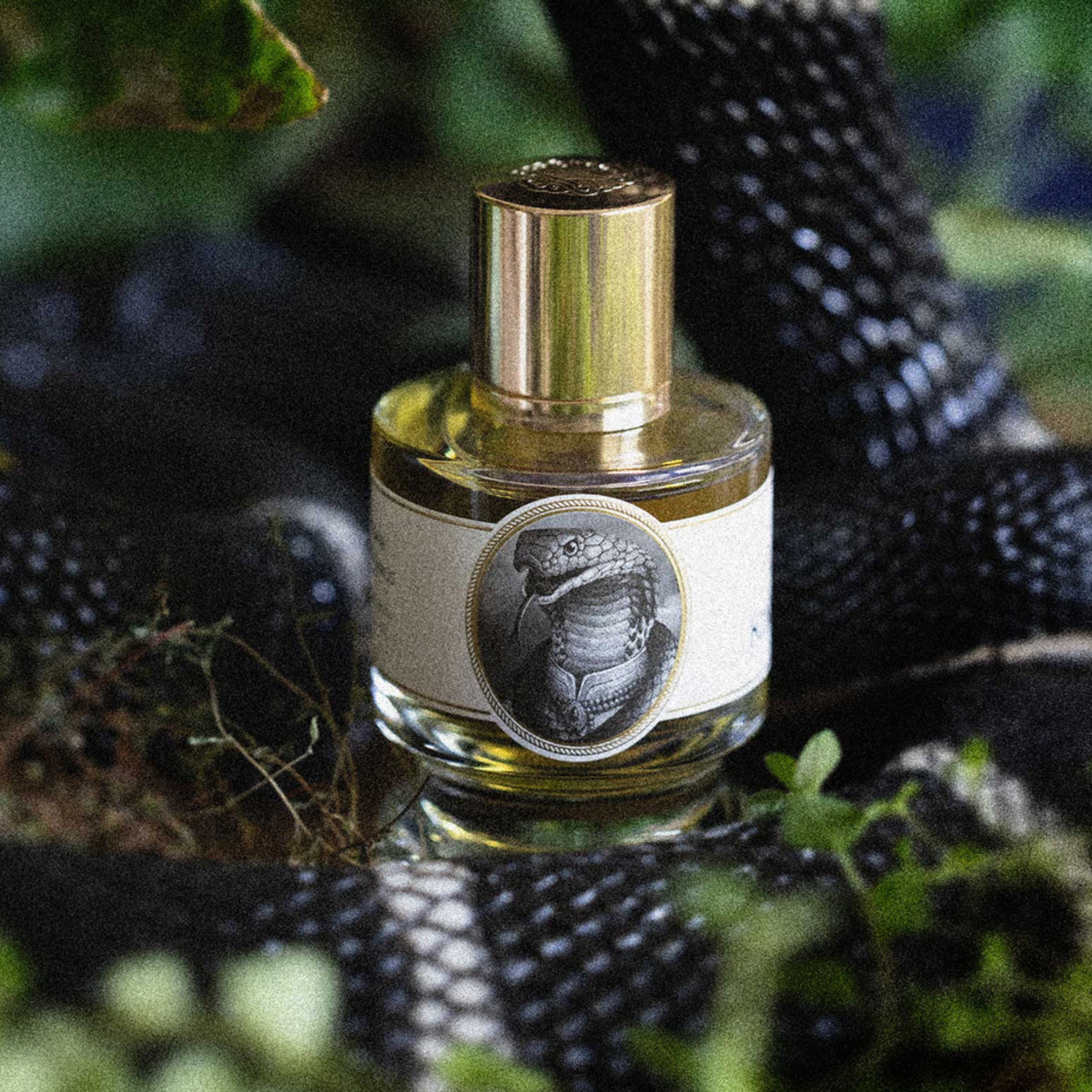 SSP - SOCIEDADE SECRETA PERFUMADA