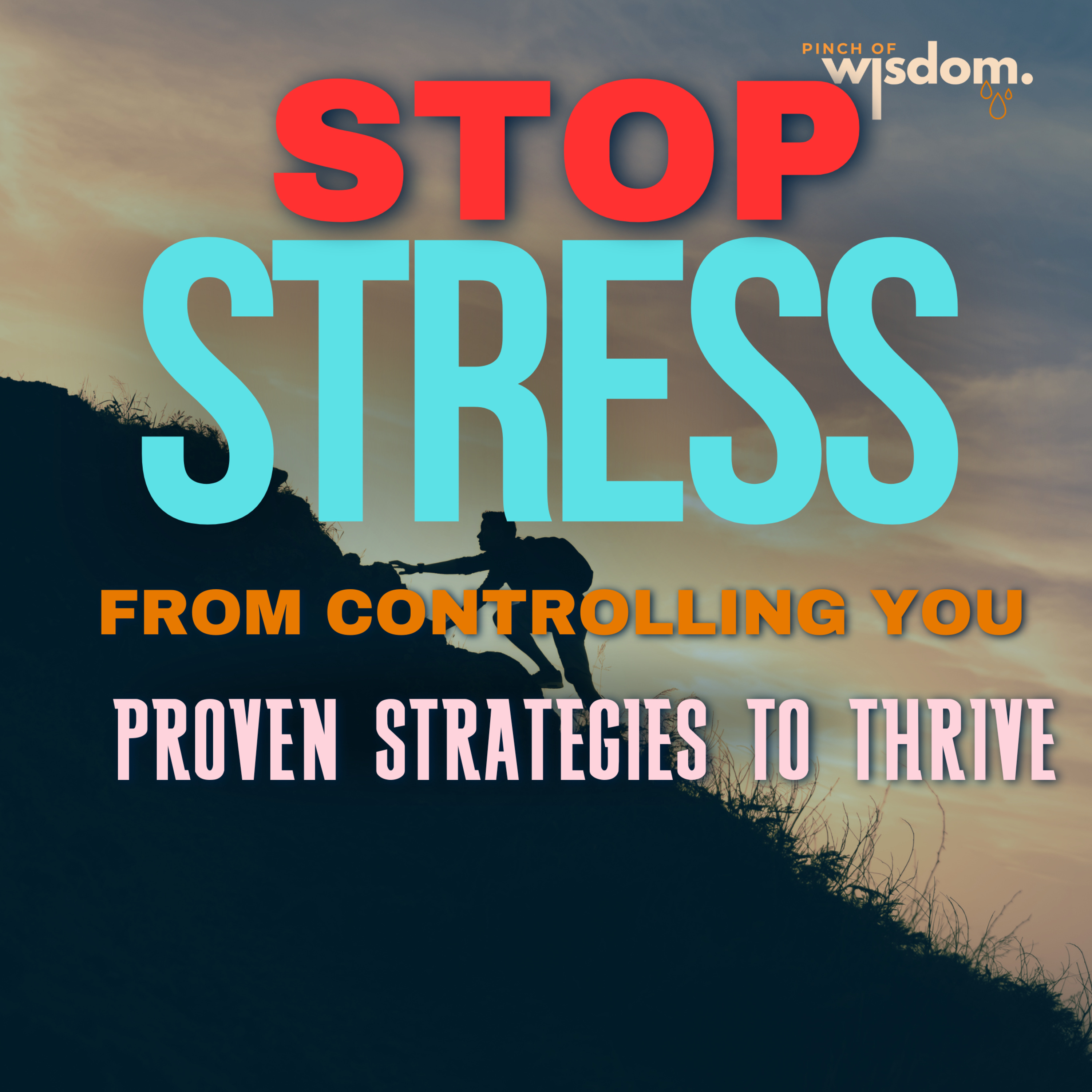 Stop Stress from Controlling You: Proven Strategies to Thrive. episode artwork