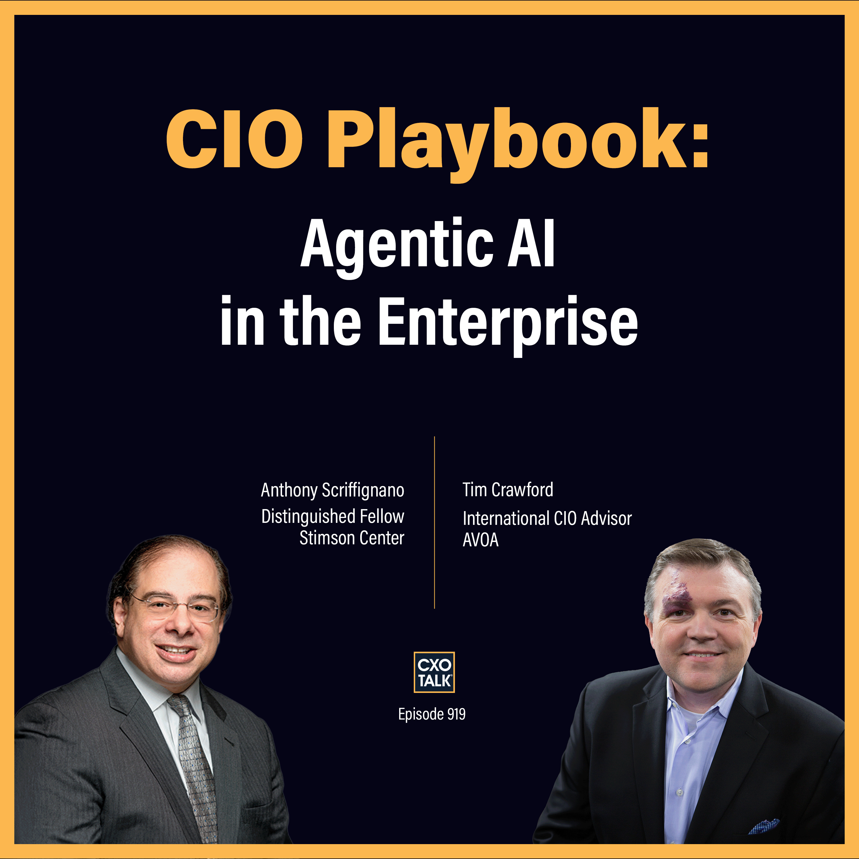 Enterprise AI: Shadow AI and Agentic Risk - CIO advice